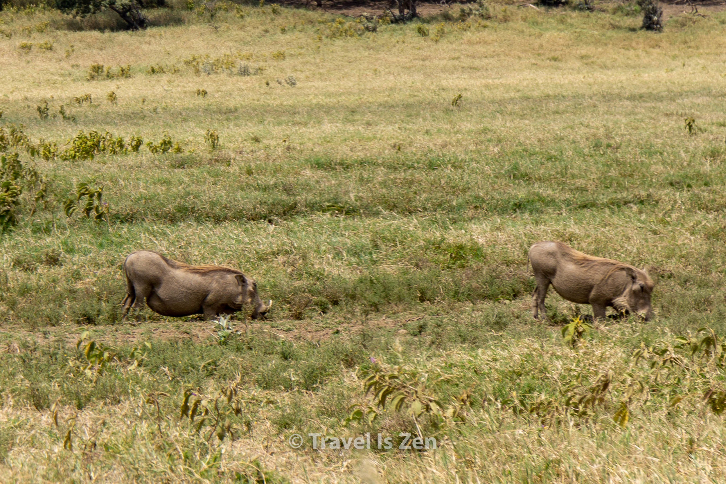 Hells Gate Kenya-11.jpg