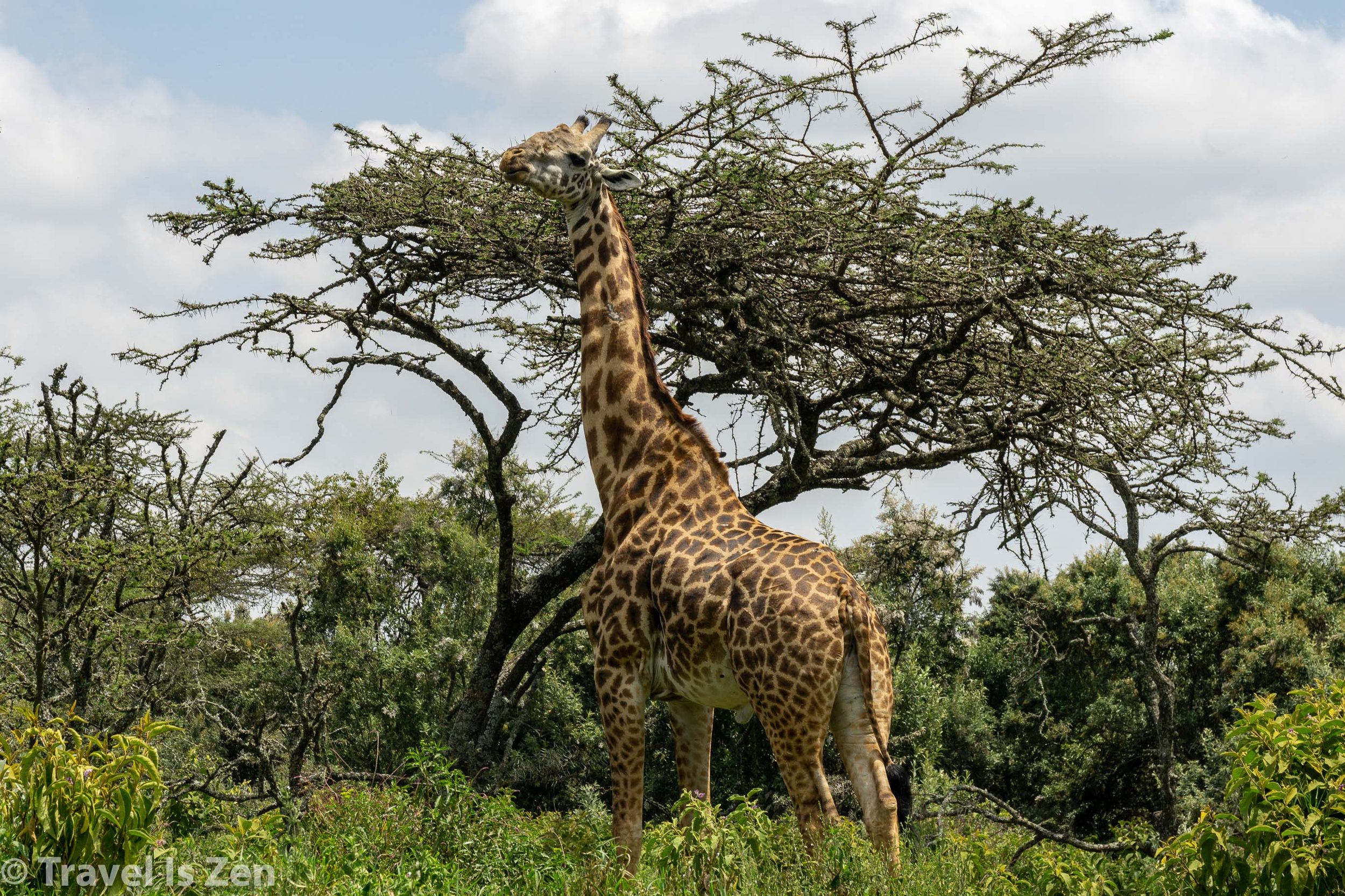 Hells Gate Kenya-15-2.jpg