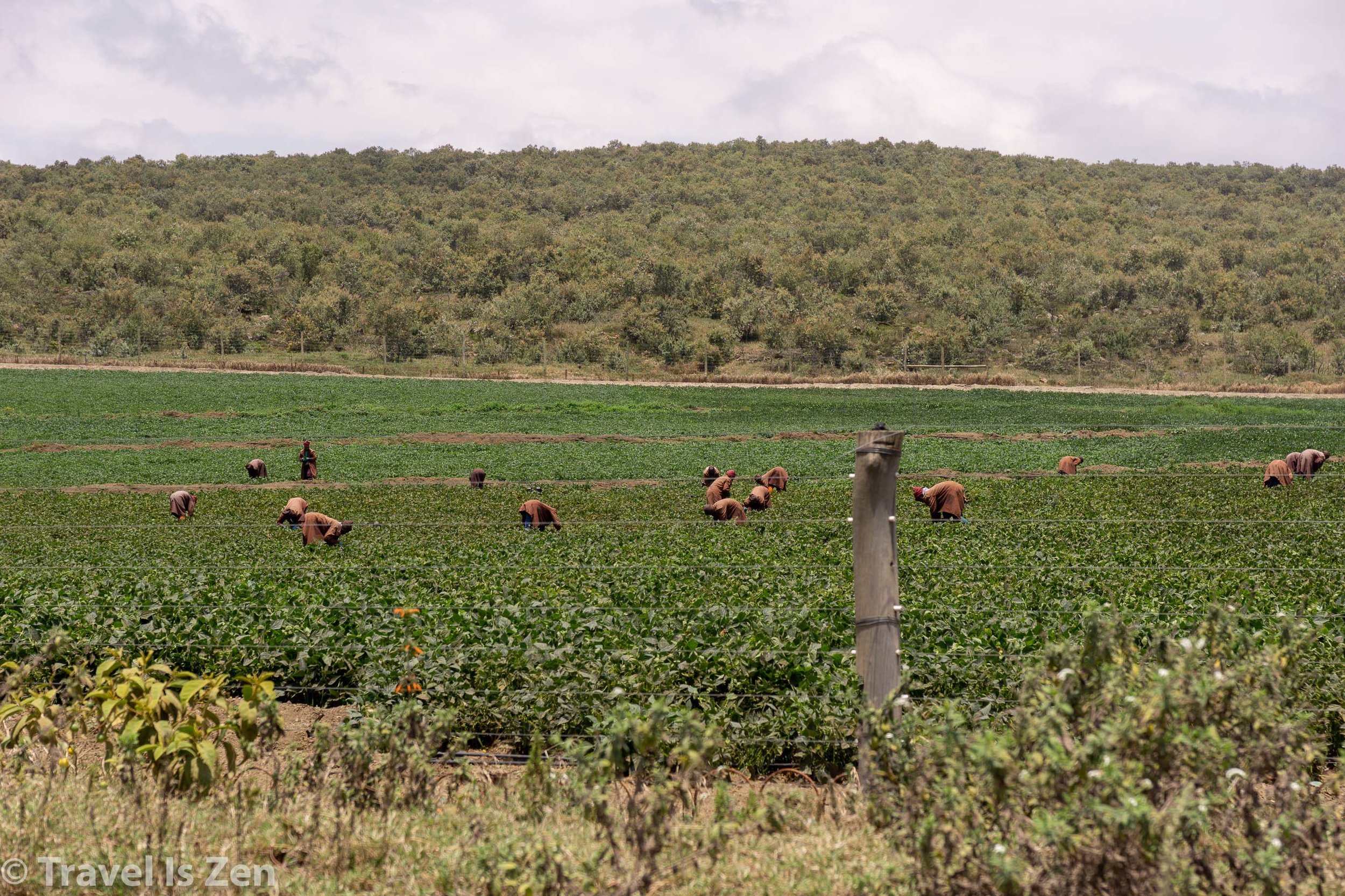 Kenya-55.jpg