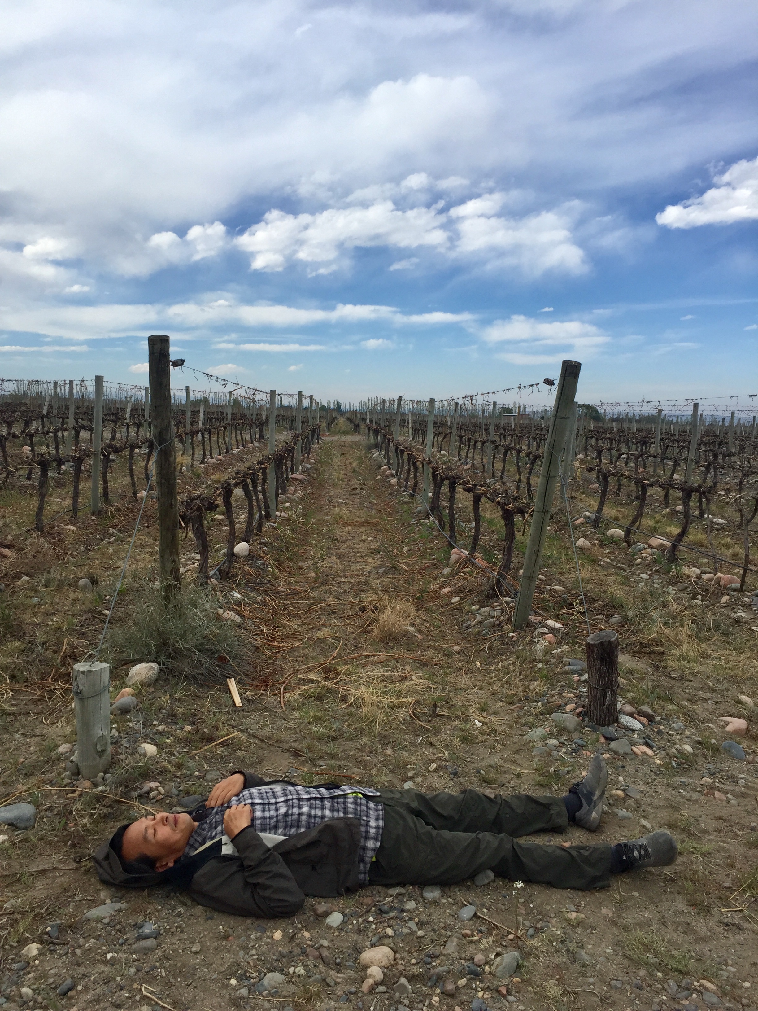 Caffrey in field.jpg