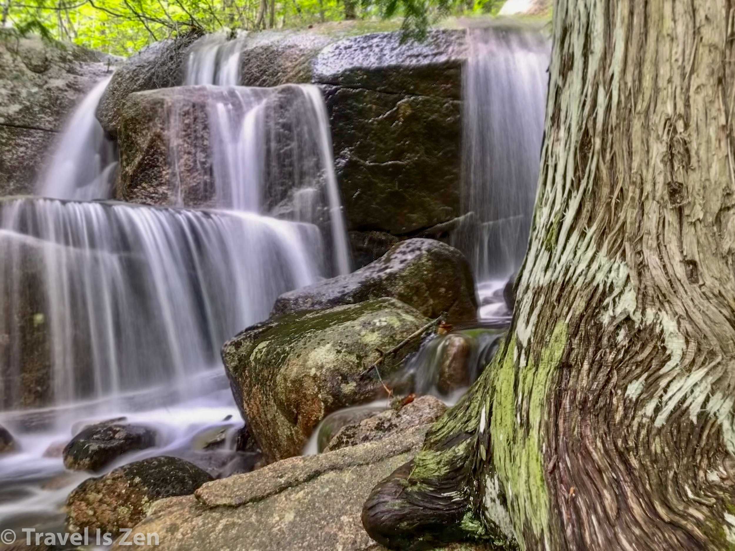 Canon Brook Trail