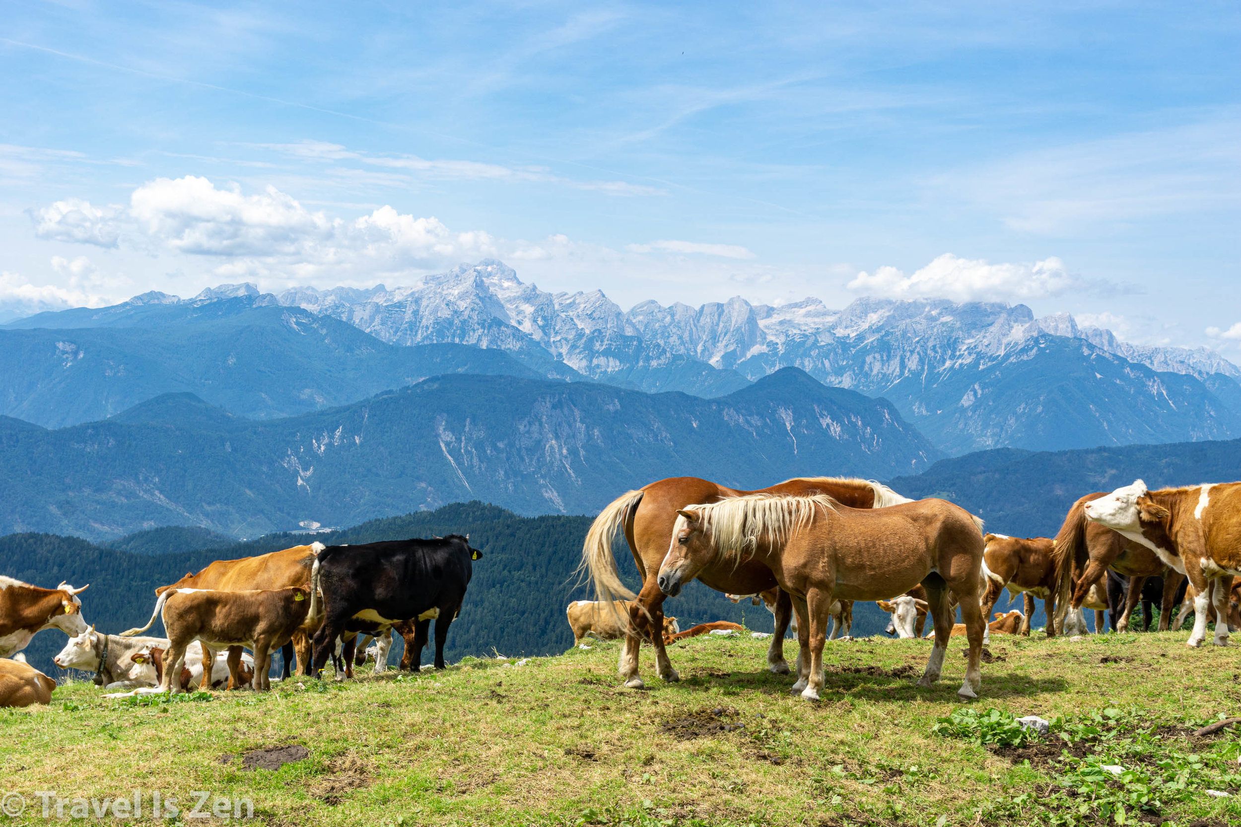 Julian Alps