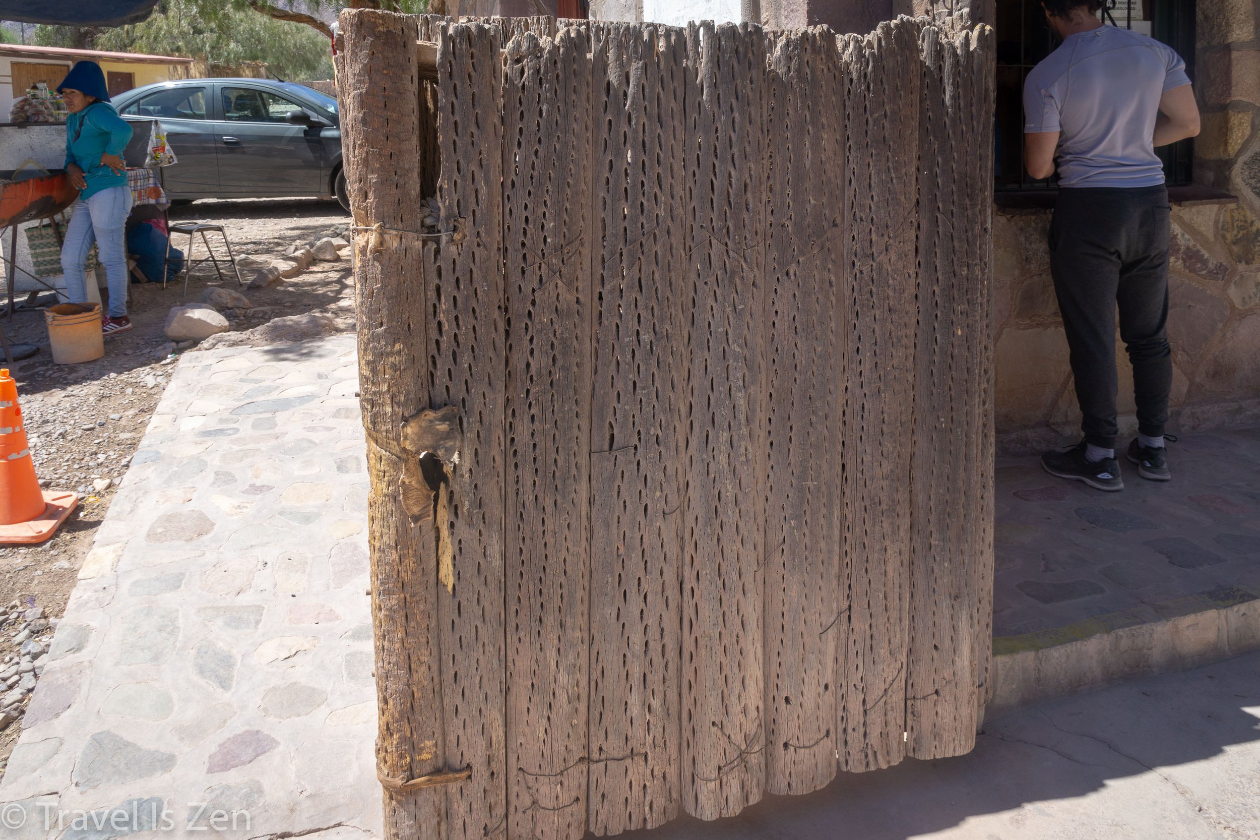 cactus door