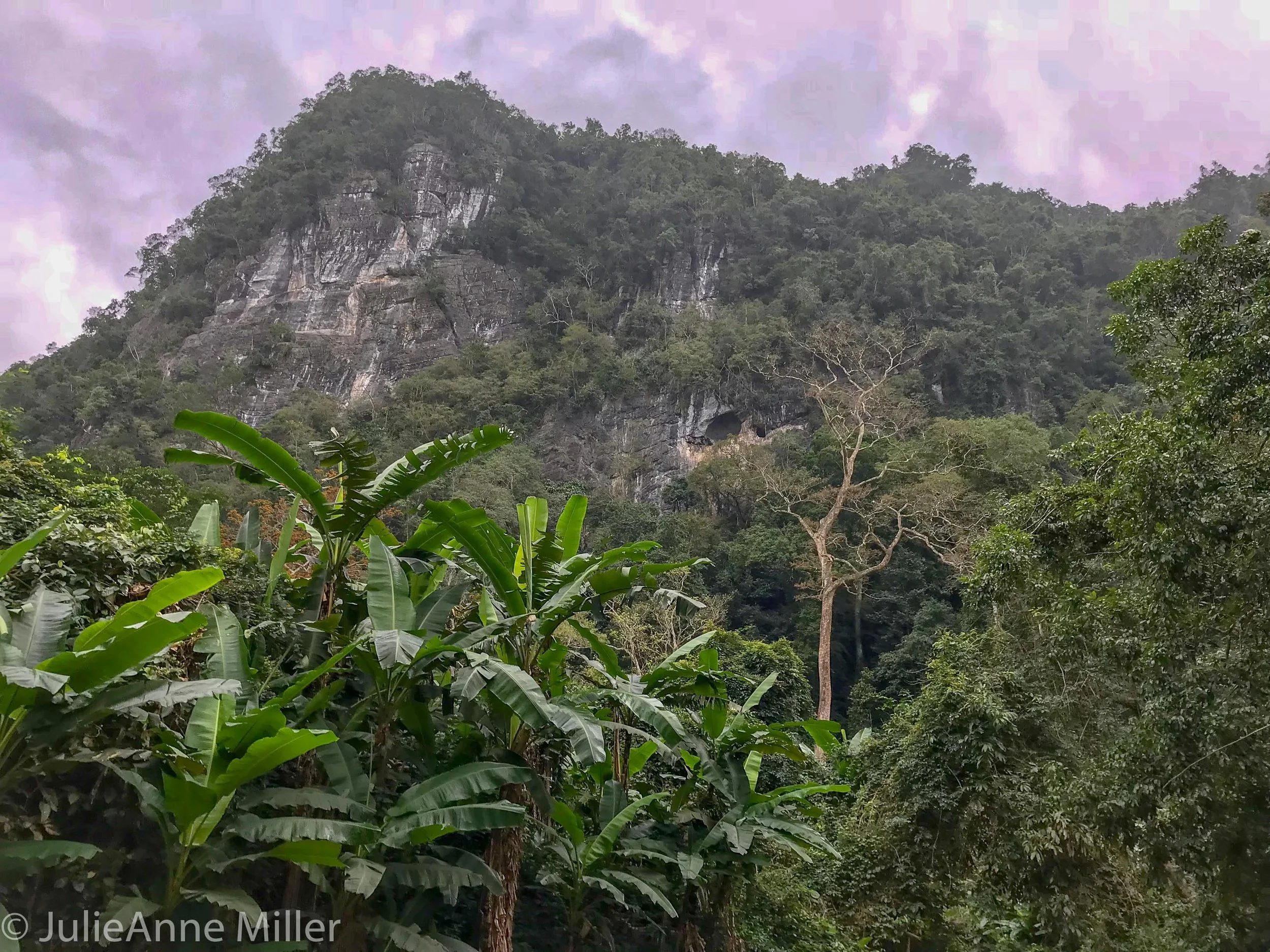 Phong Nha National Park