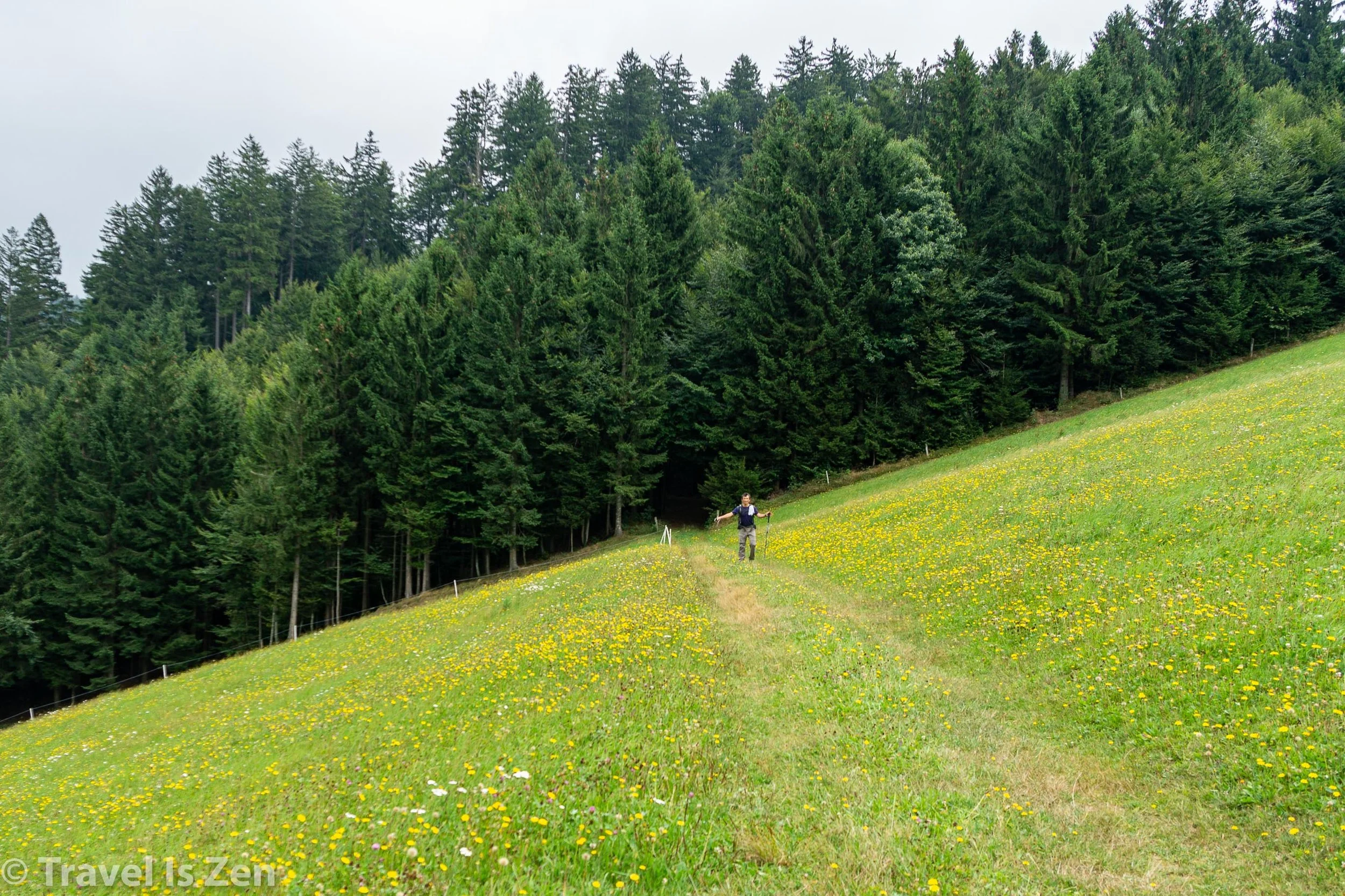 Stage 9-24.jpg