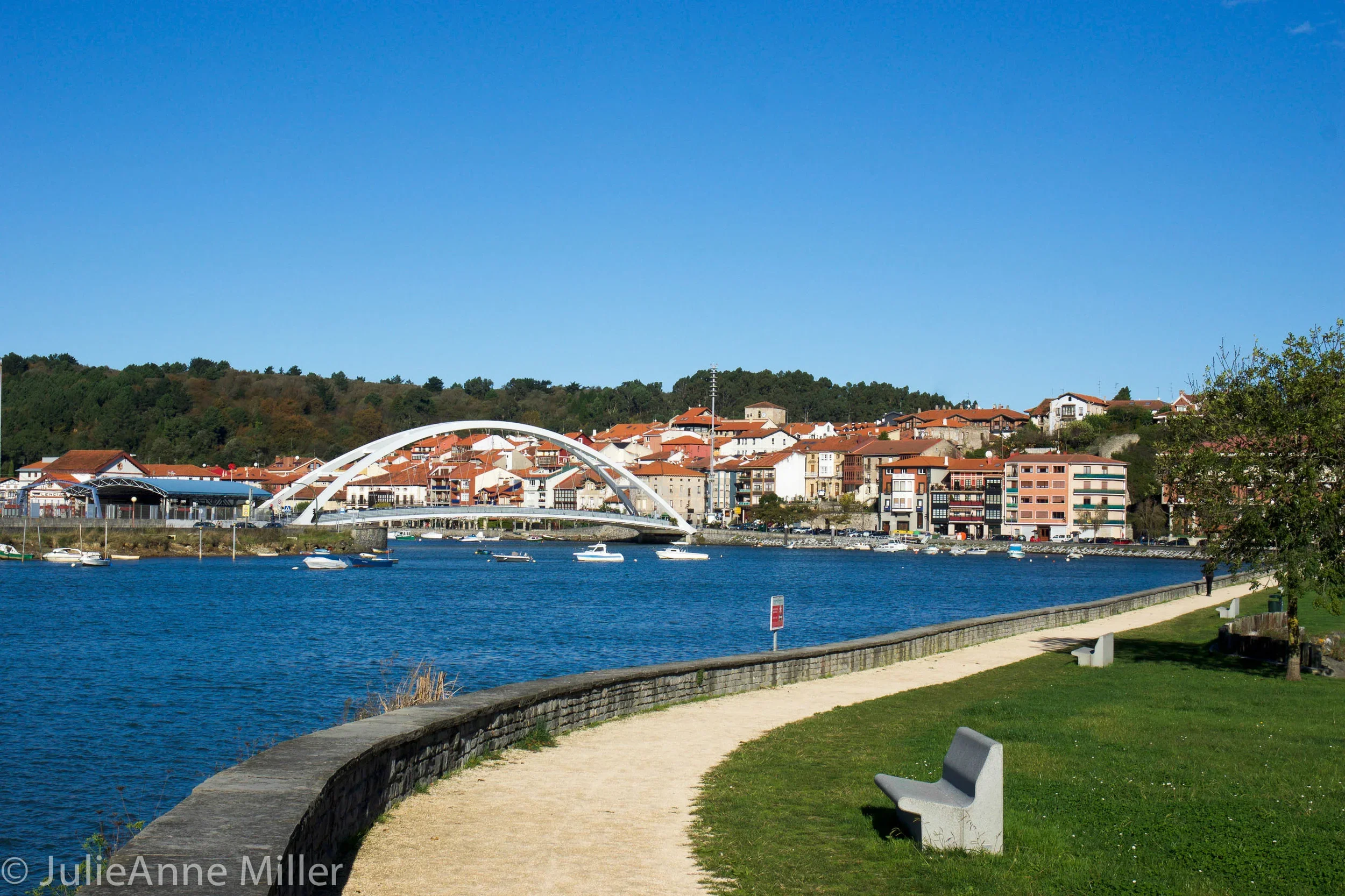 Lovely Basque