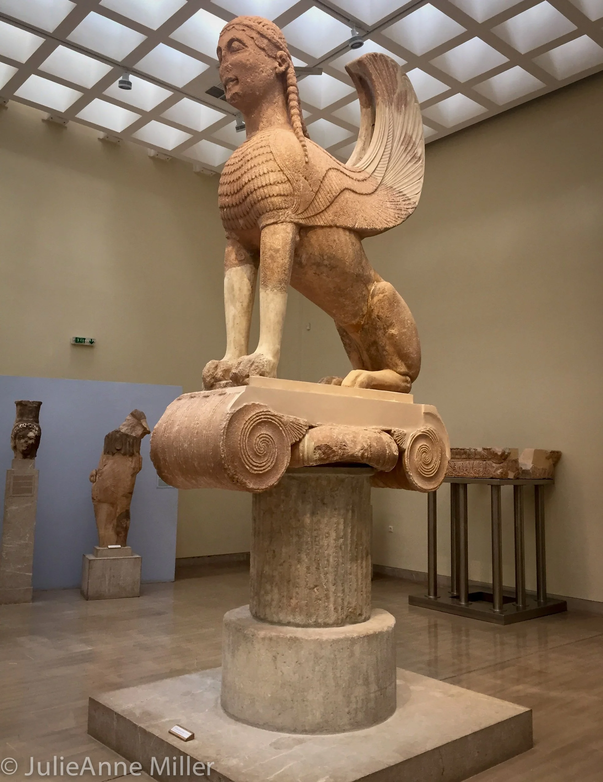 sphynx