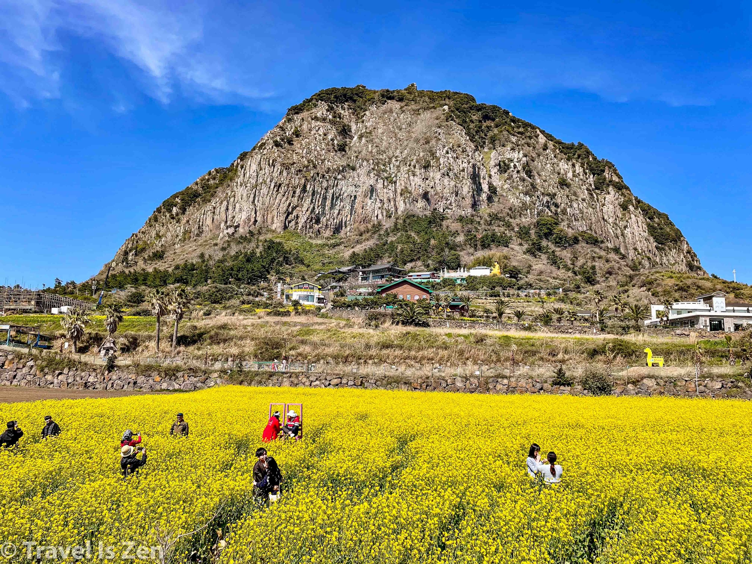 Jeju Olle Gil-446.jpg