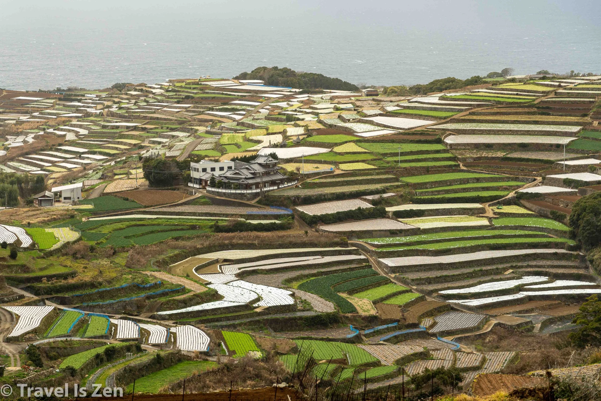 Obama Town and Terraces-15.jpg