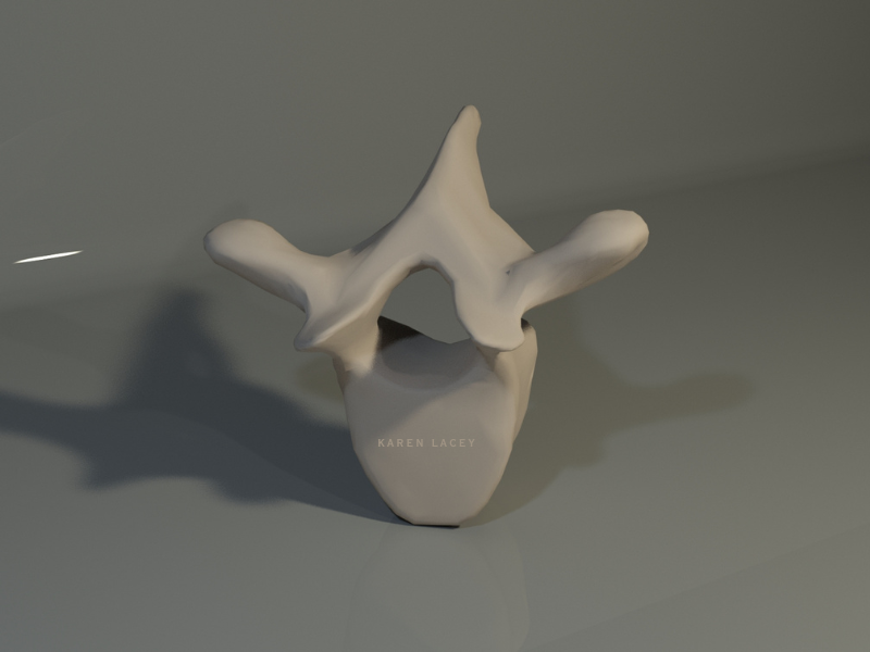 Vertebra.png