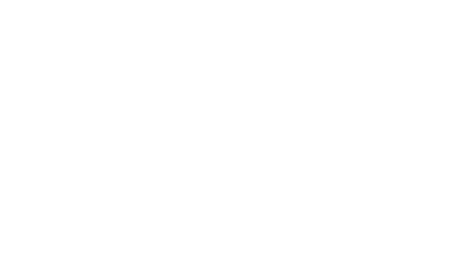 Princeton Racing Electric