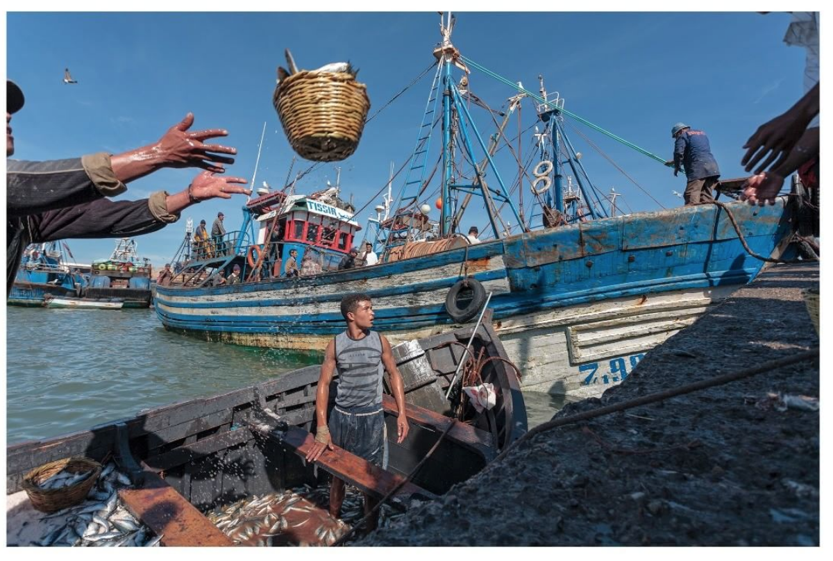 The Catch, Port d'Essaouira.