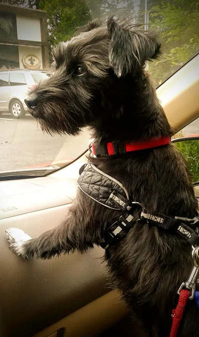Miss Maggie! 