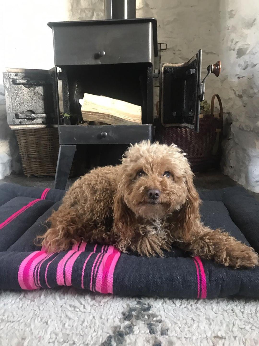 AnnaCoxCushions_Styling_Dogmat_DarkGrey-Pink.JPG