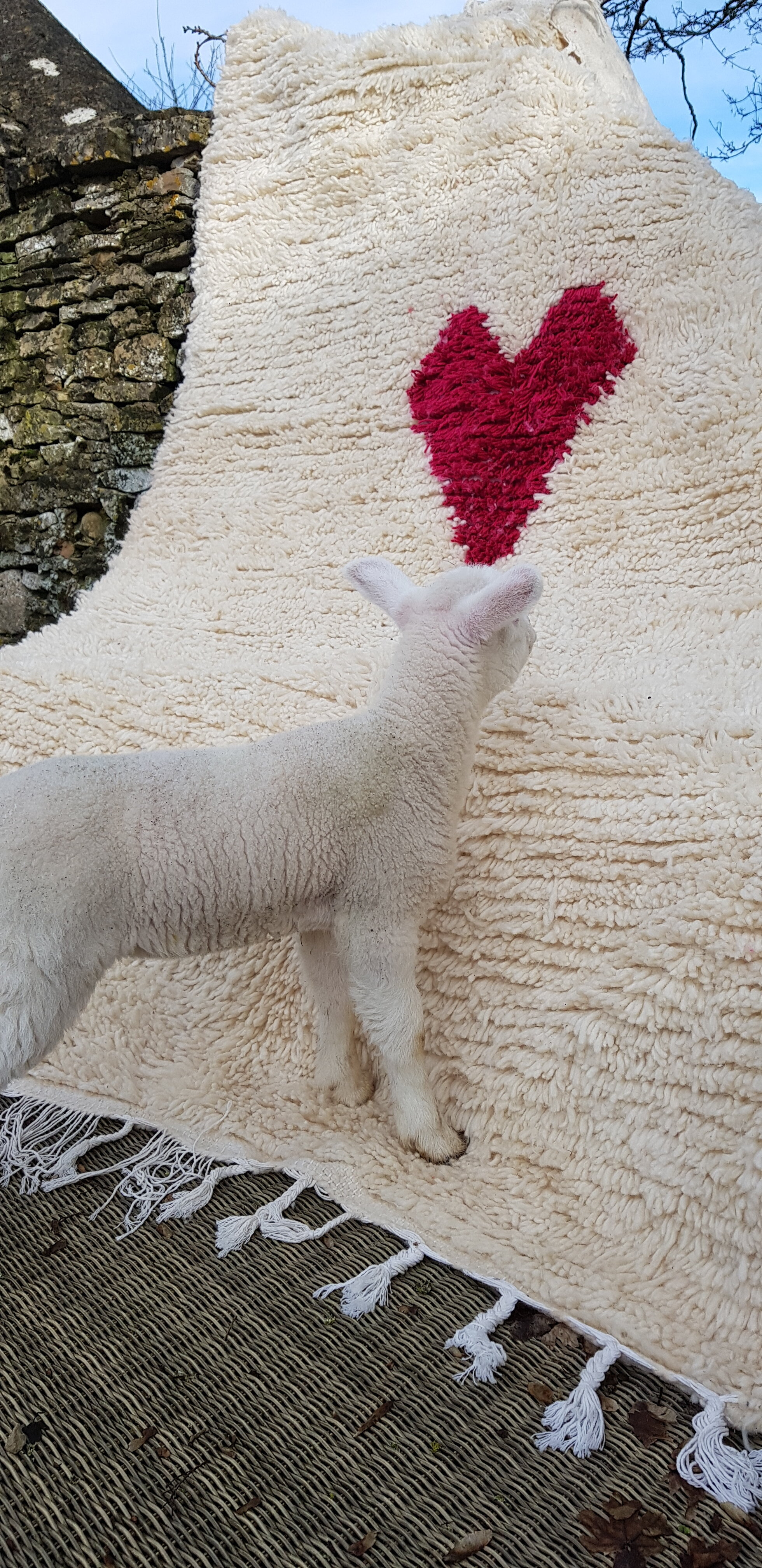 Lamb heart rug Feb 2021.jpg