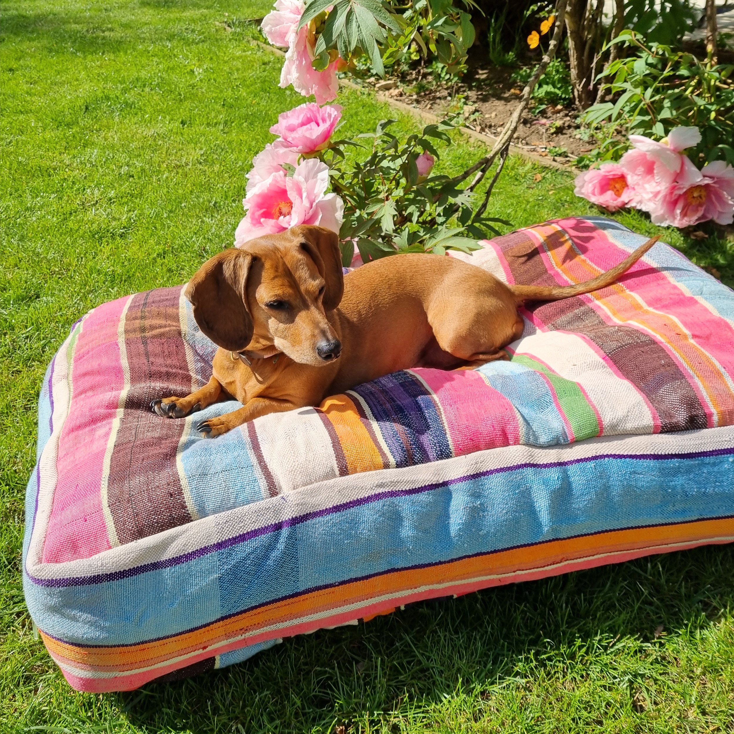 Oversized dog cushions