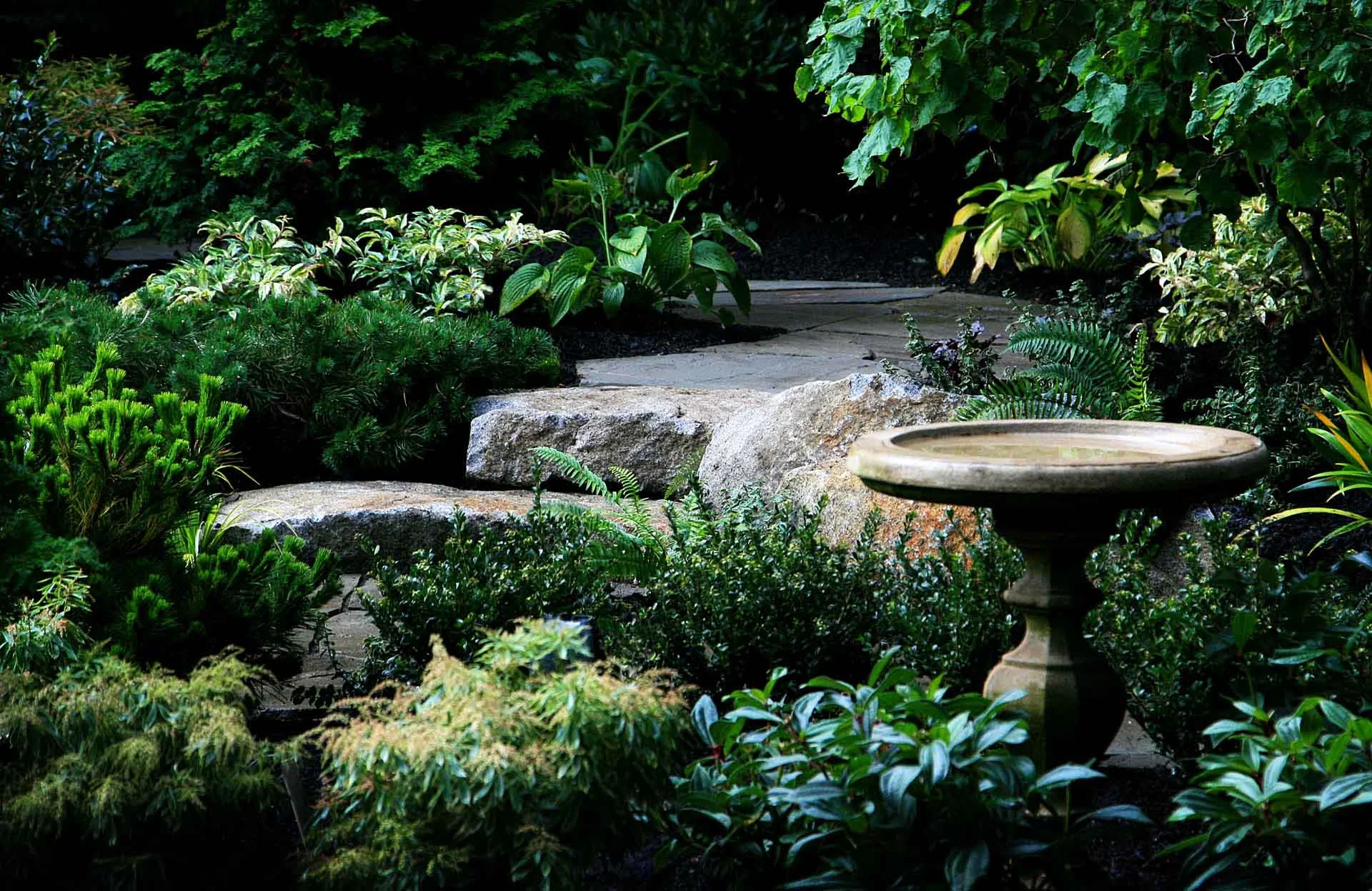 1 nodtvedt birdbath.jpg