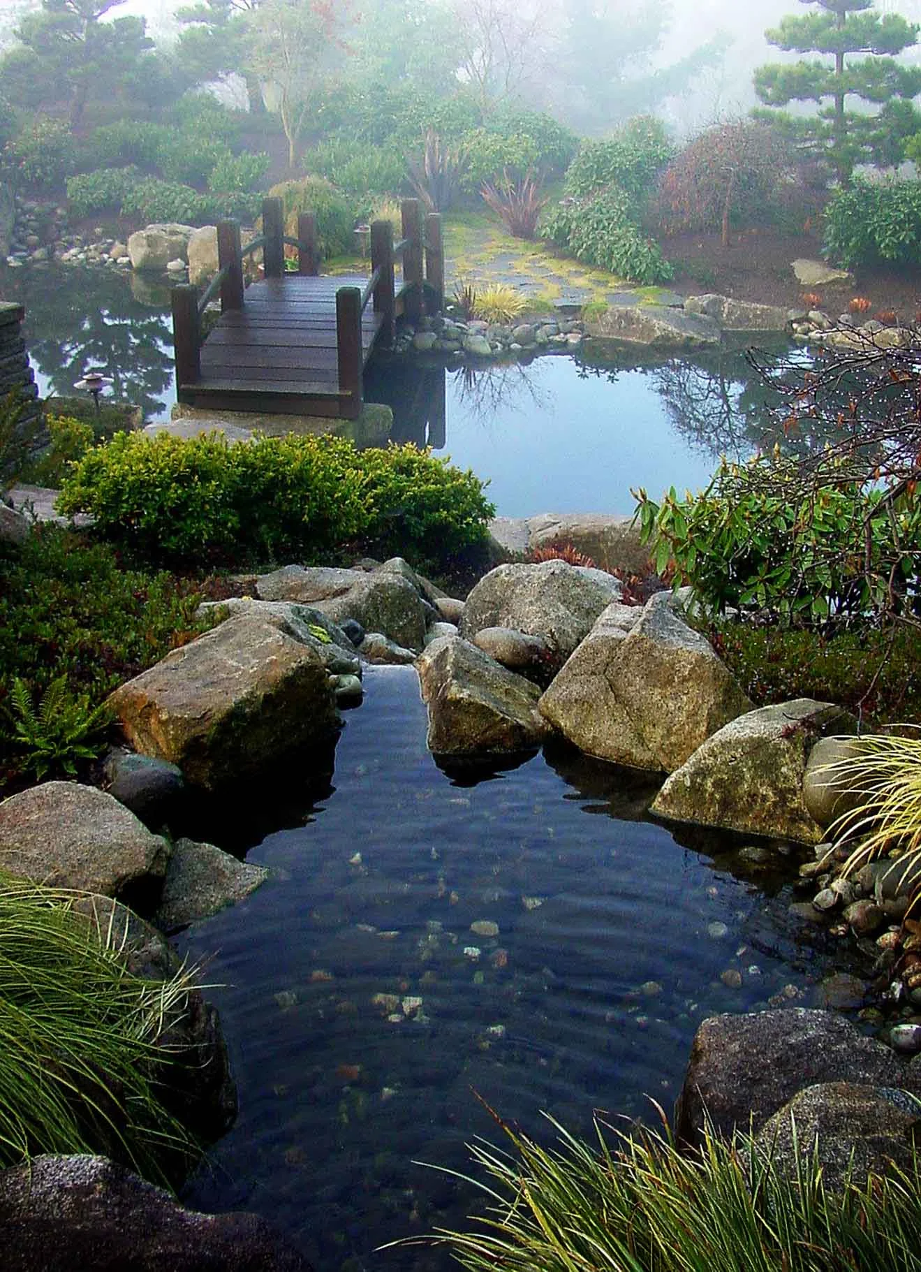17 behar two ponds.jpg