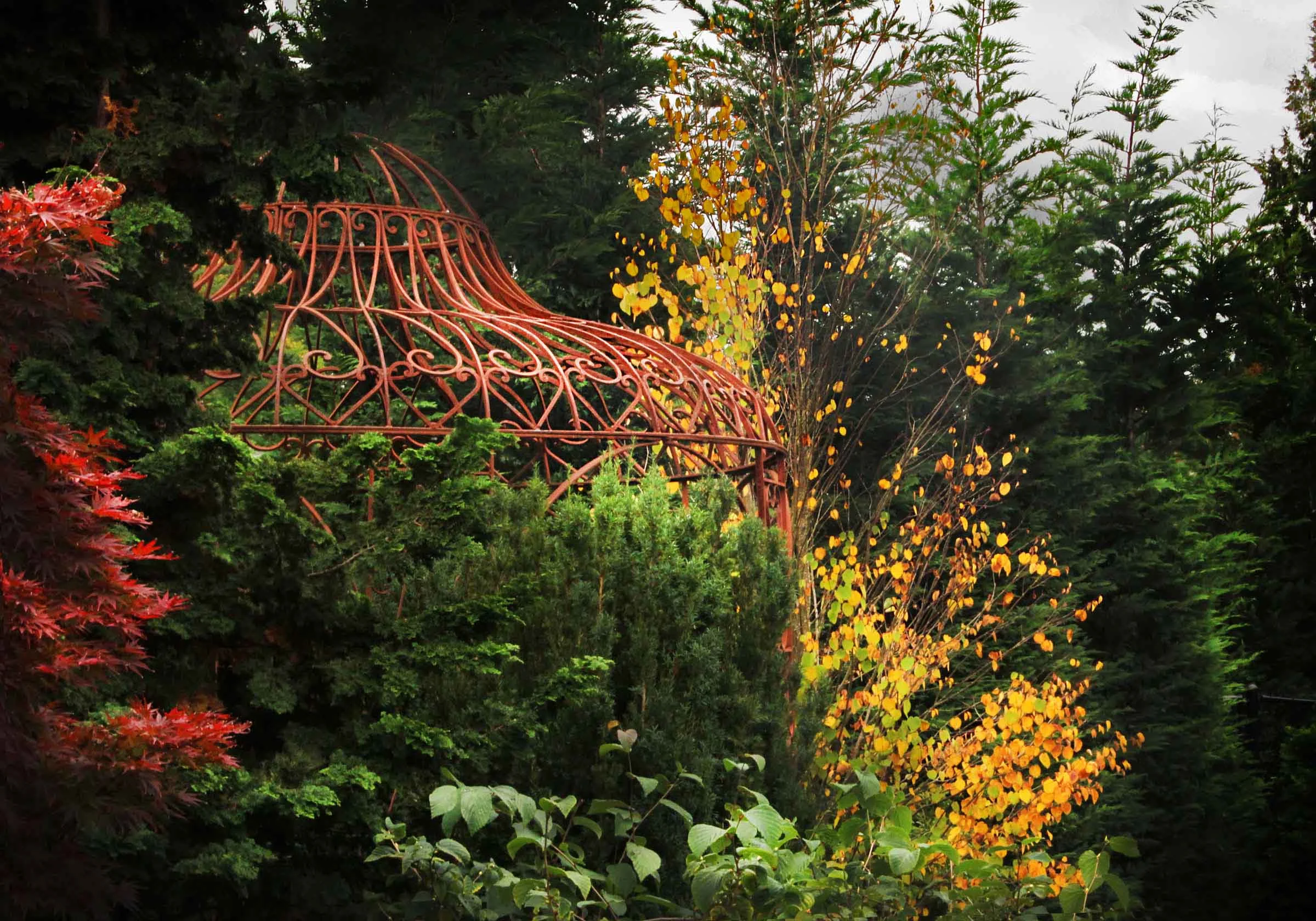 34 wnw2 pergola top.jpg