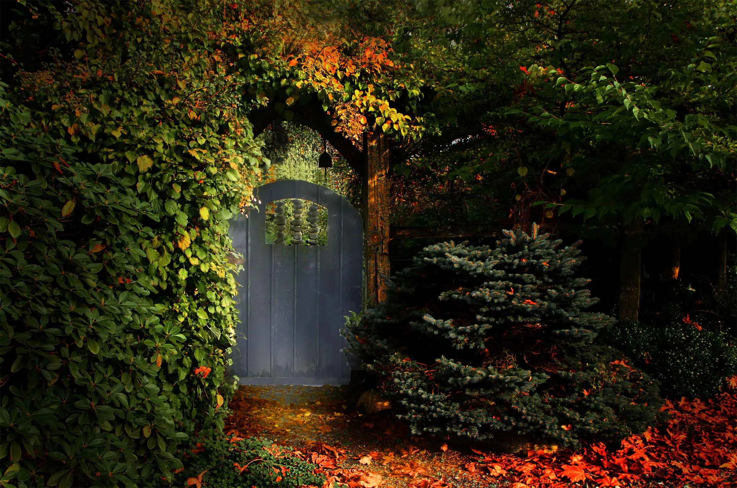 40 farm blue gate in fall.jpg