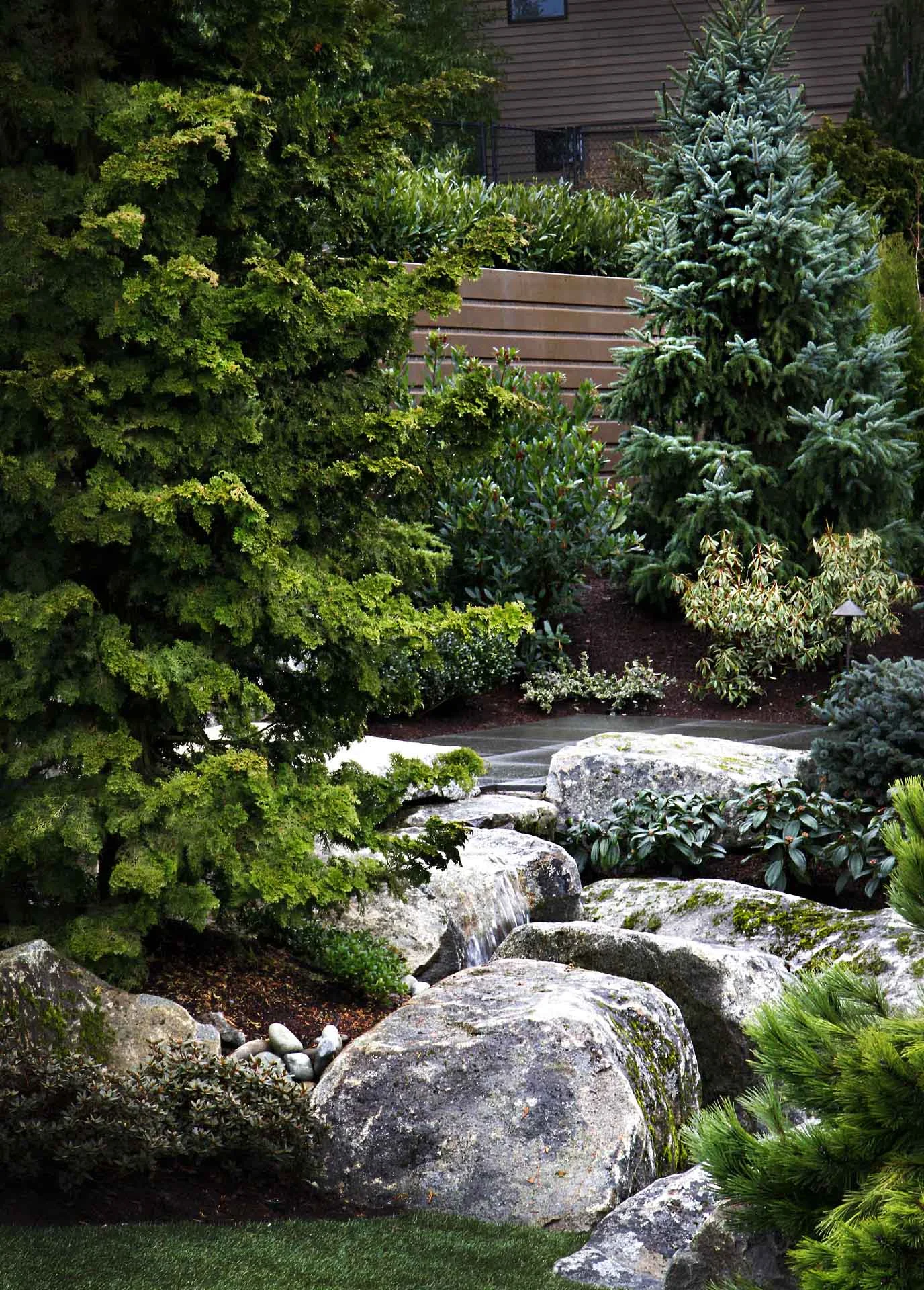 54 poore rocks and planting.jpg