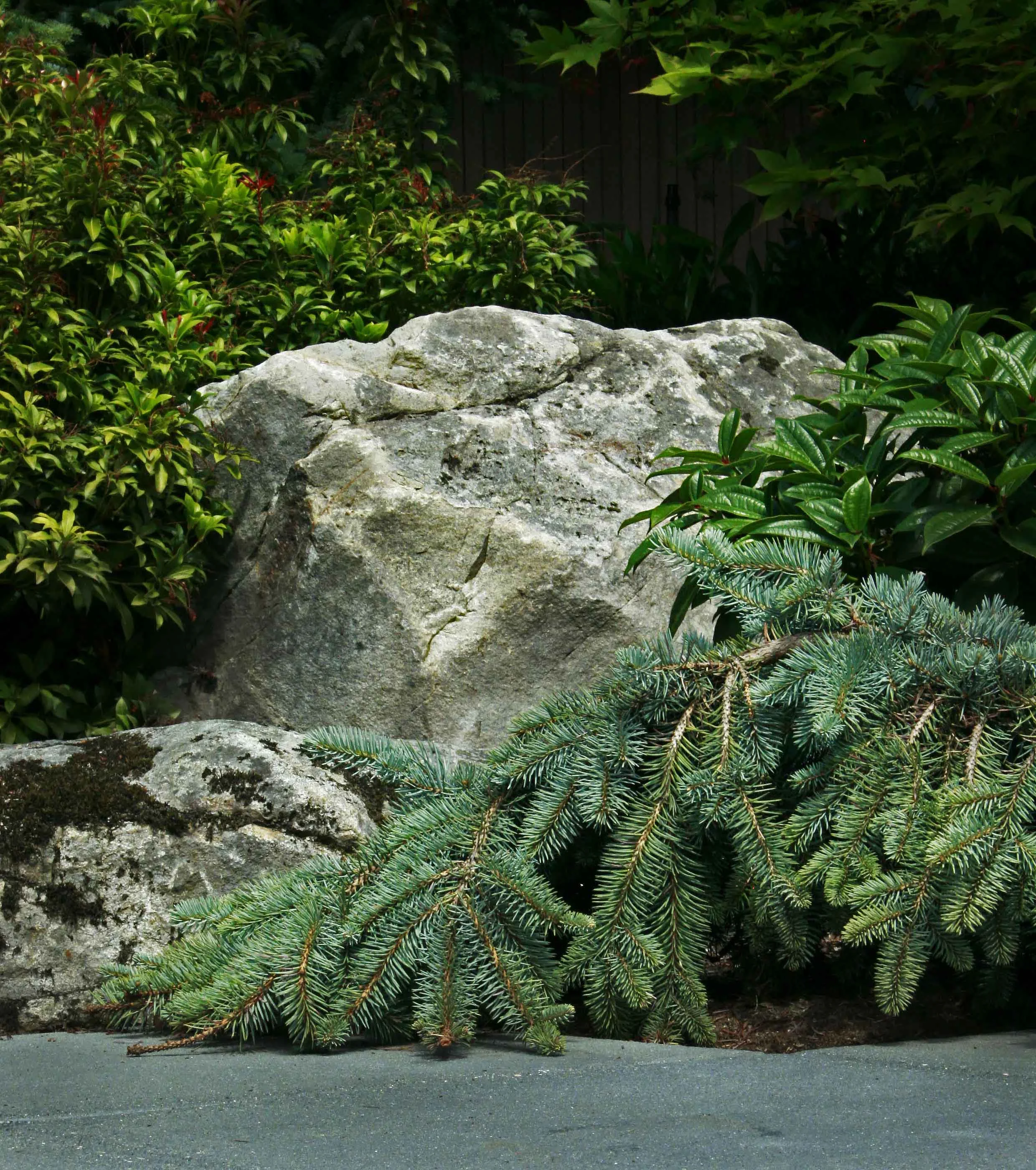 62 granite stone.jpg