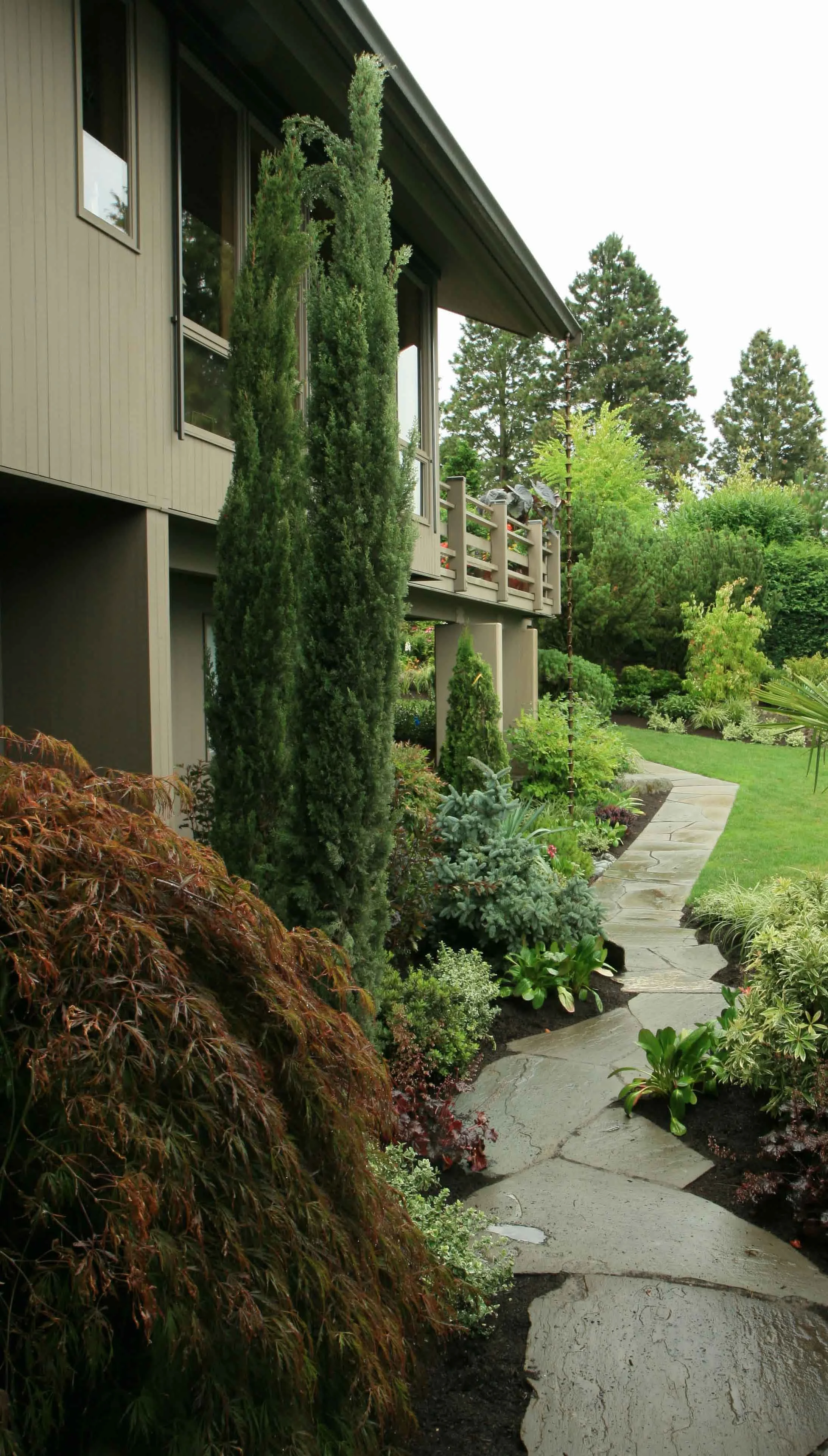66 poore planting and walk.jpg