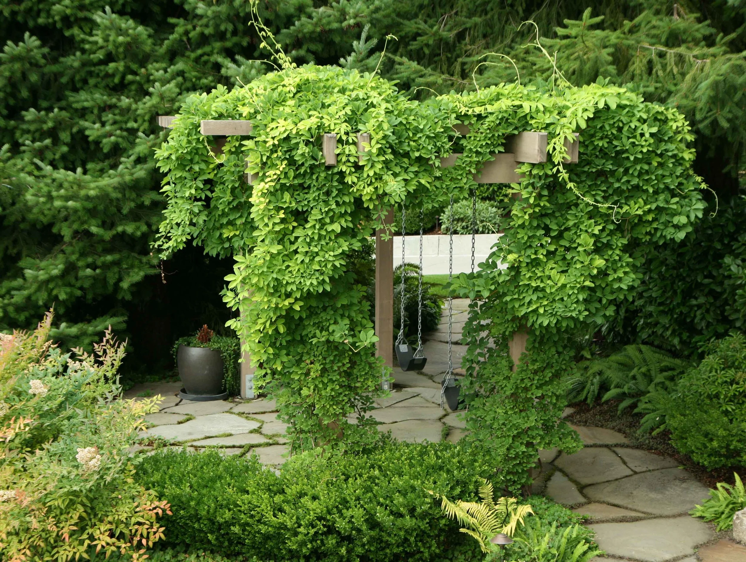 70 wnw covered arbor.jpg