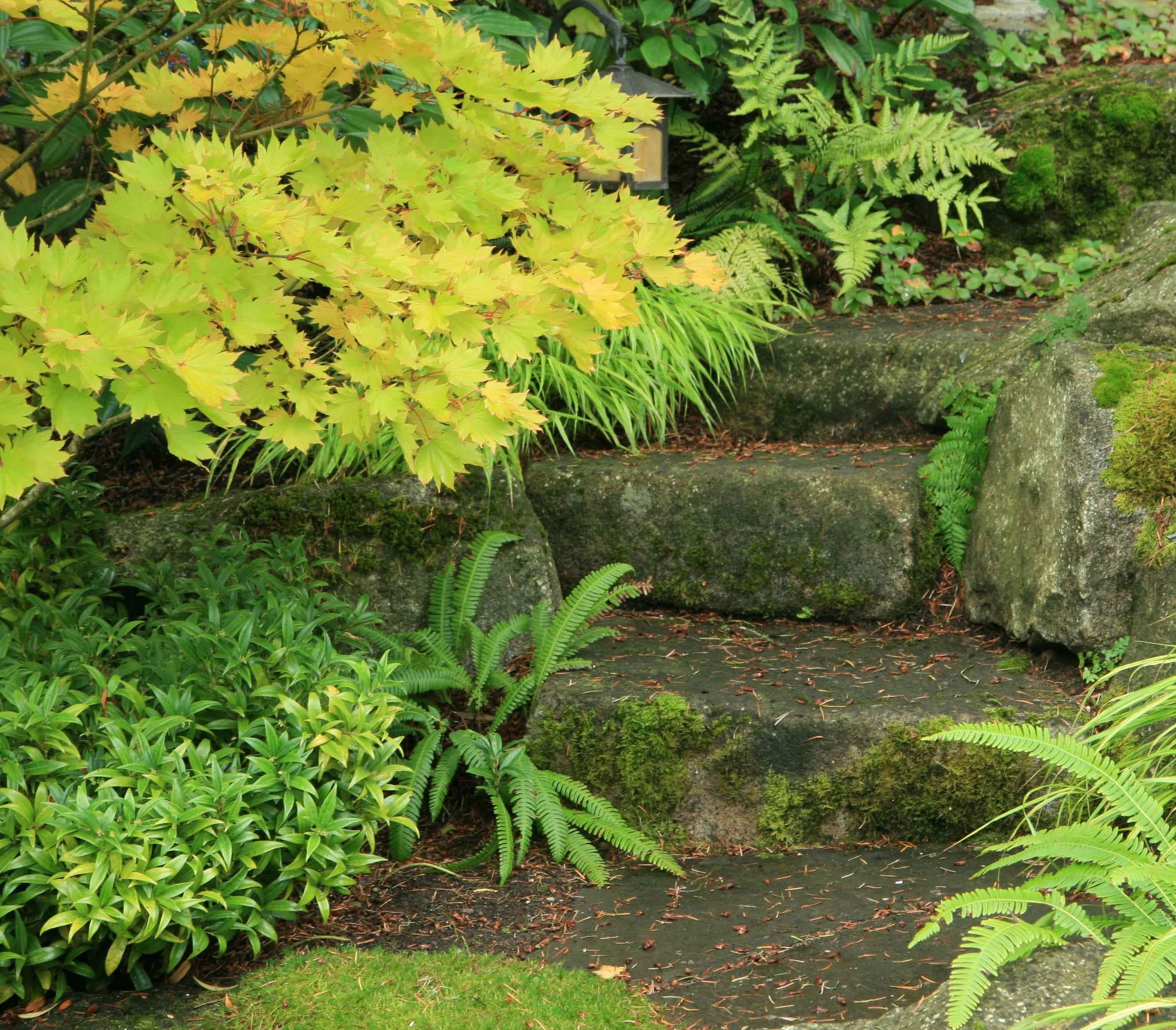 87 guthrie stone steps1.jpg