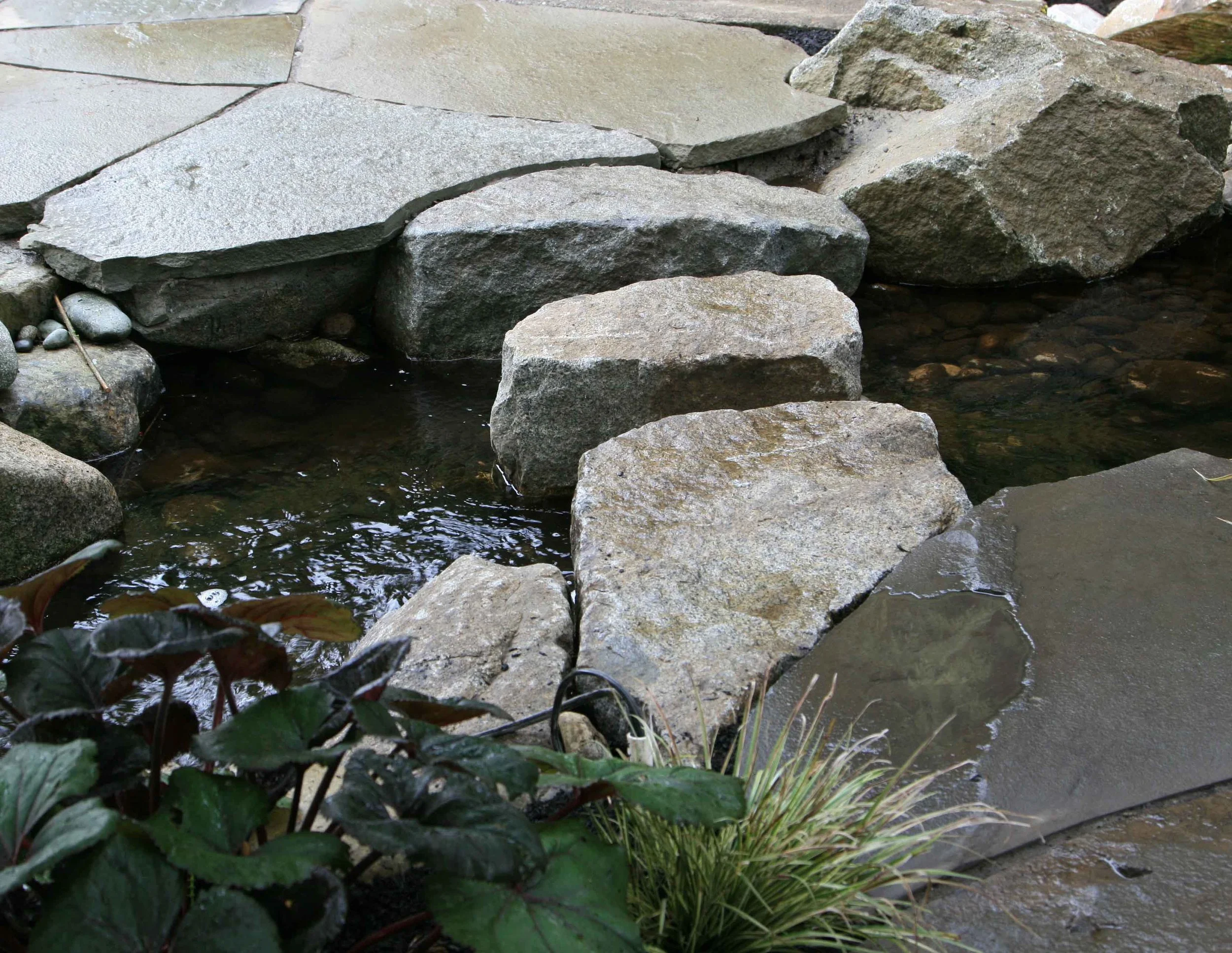 4 laplant water steps.jpg