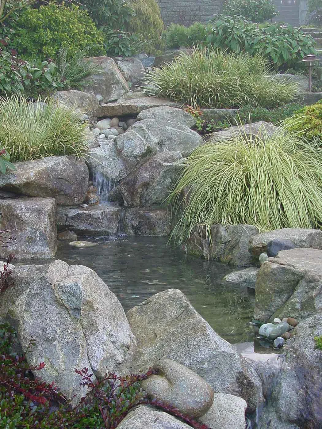 19 behar pool02.jpg