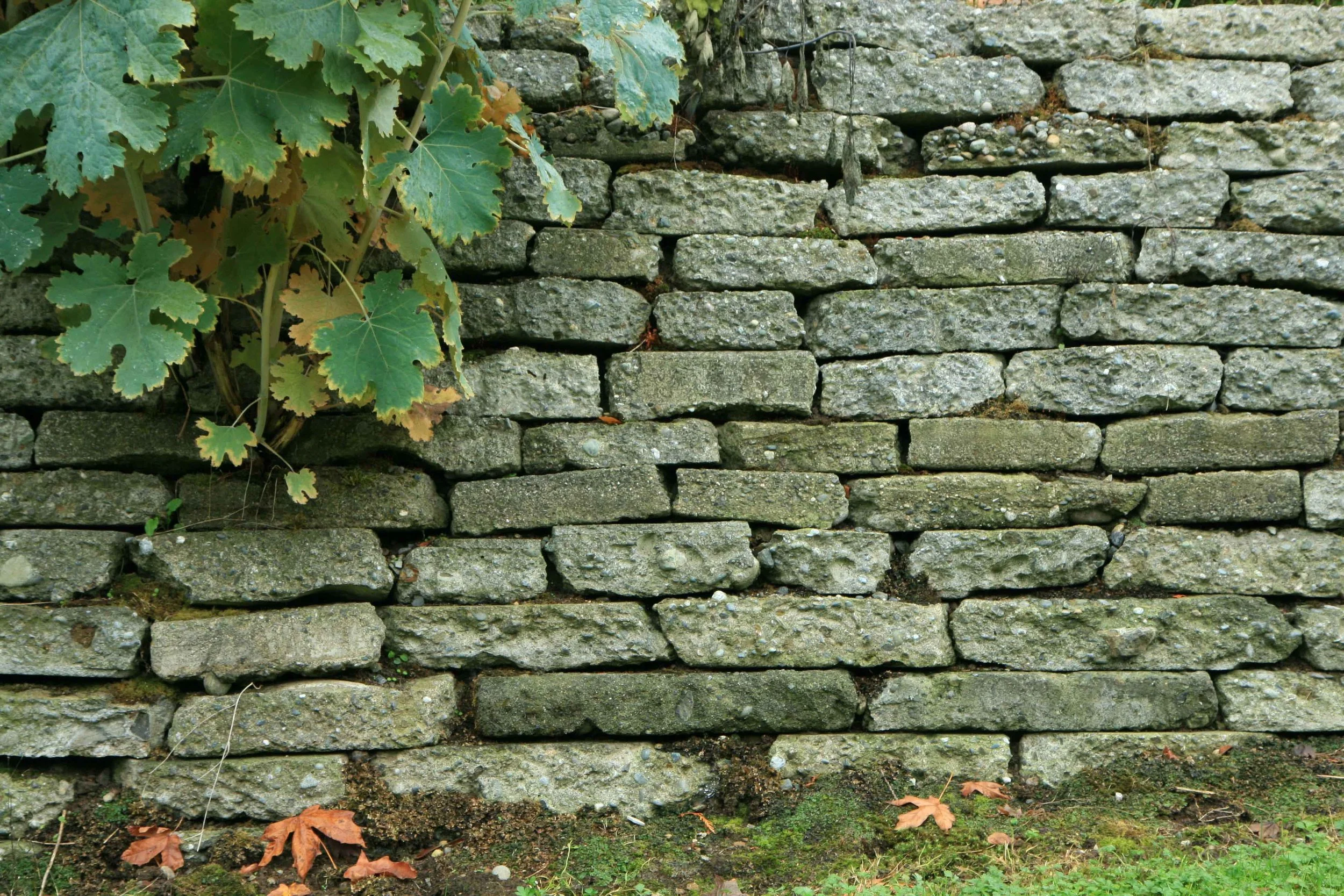 15 broken concrete wall.jpg
