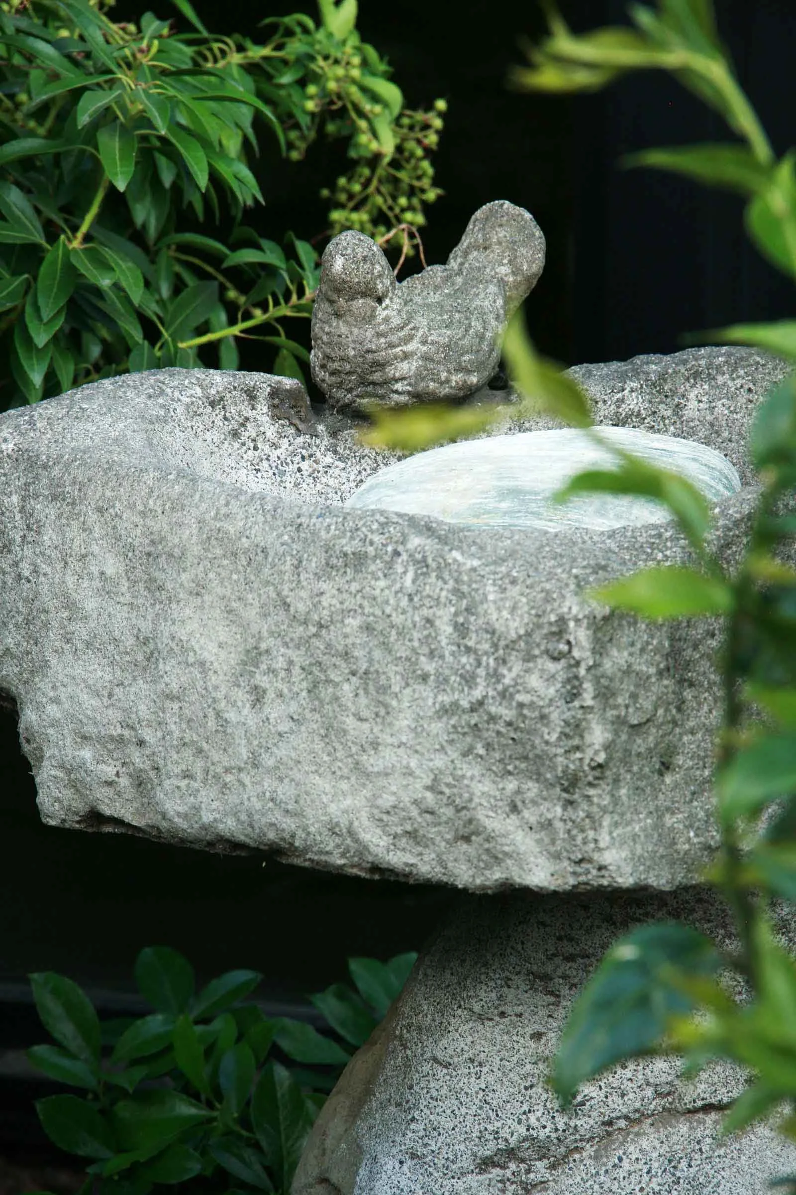 15 wnw2 bird bath.jpg