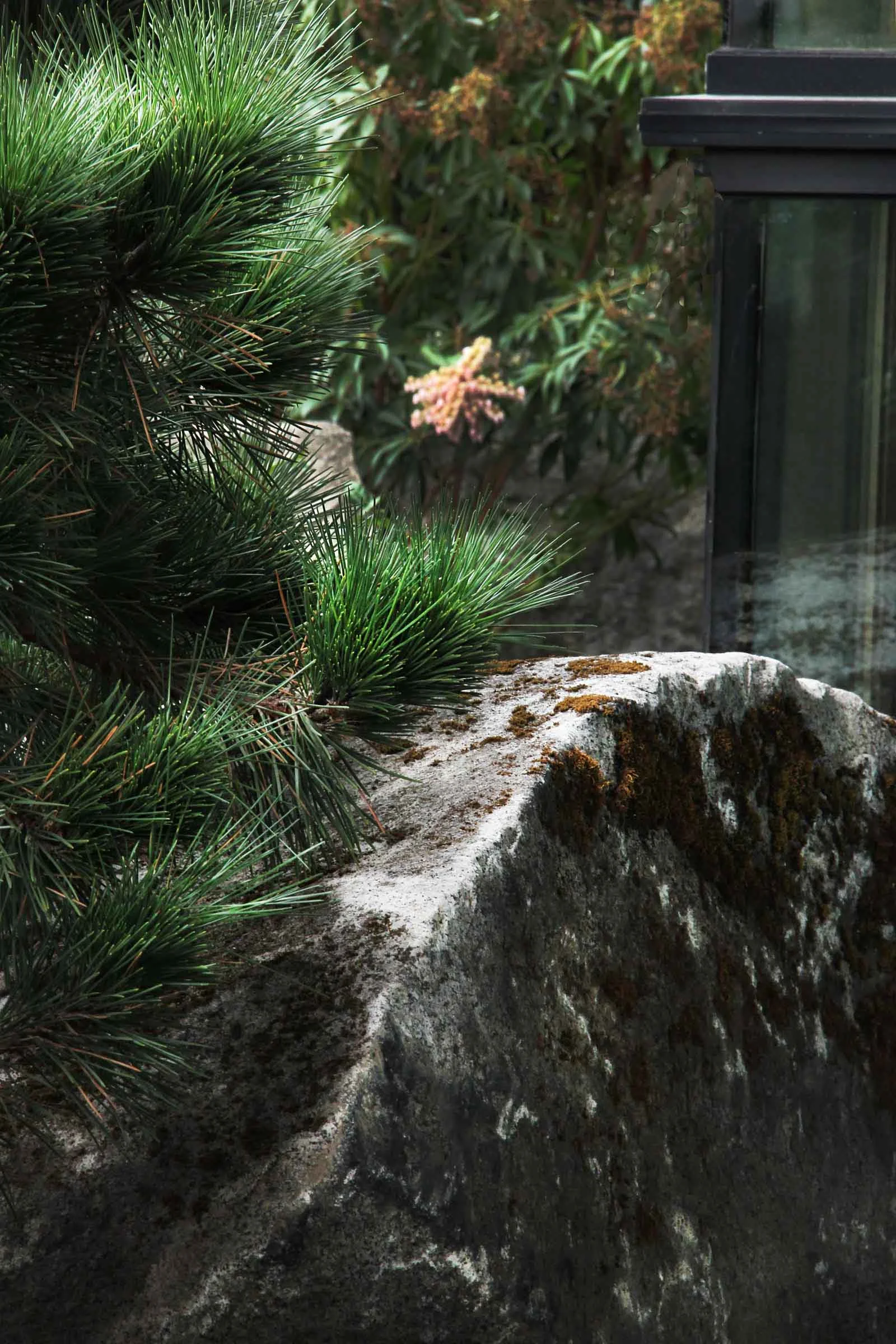 13 wnw2 pine and granite stone.jpg