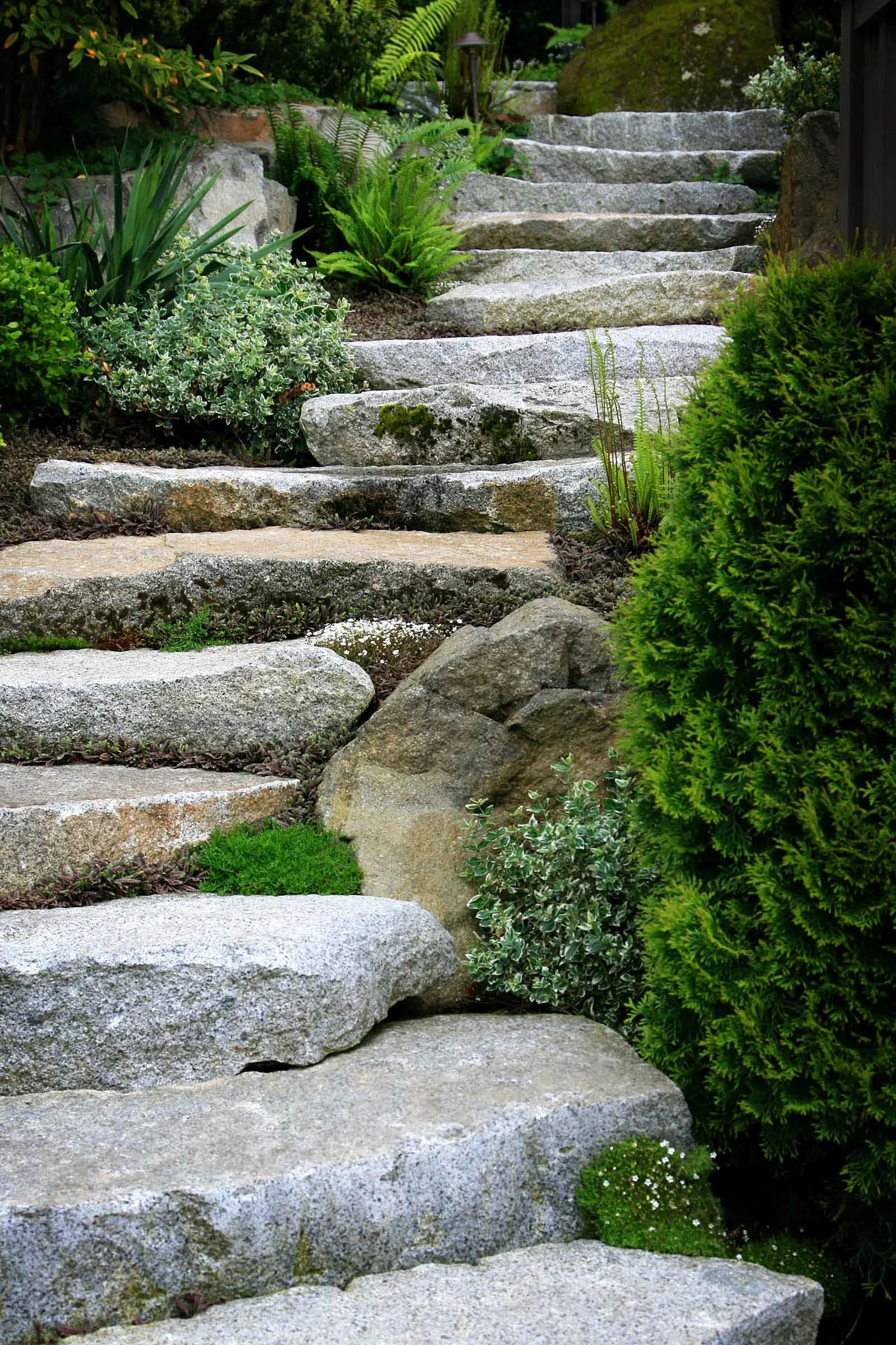 29 wnw stone steps5.jpg