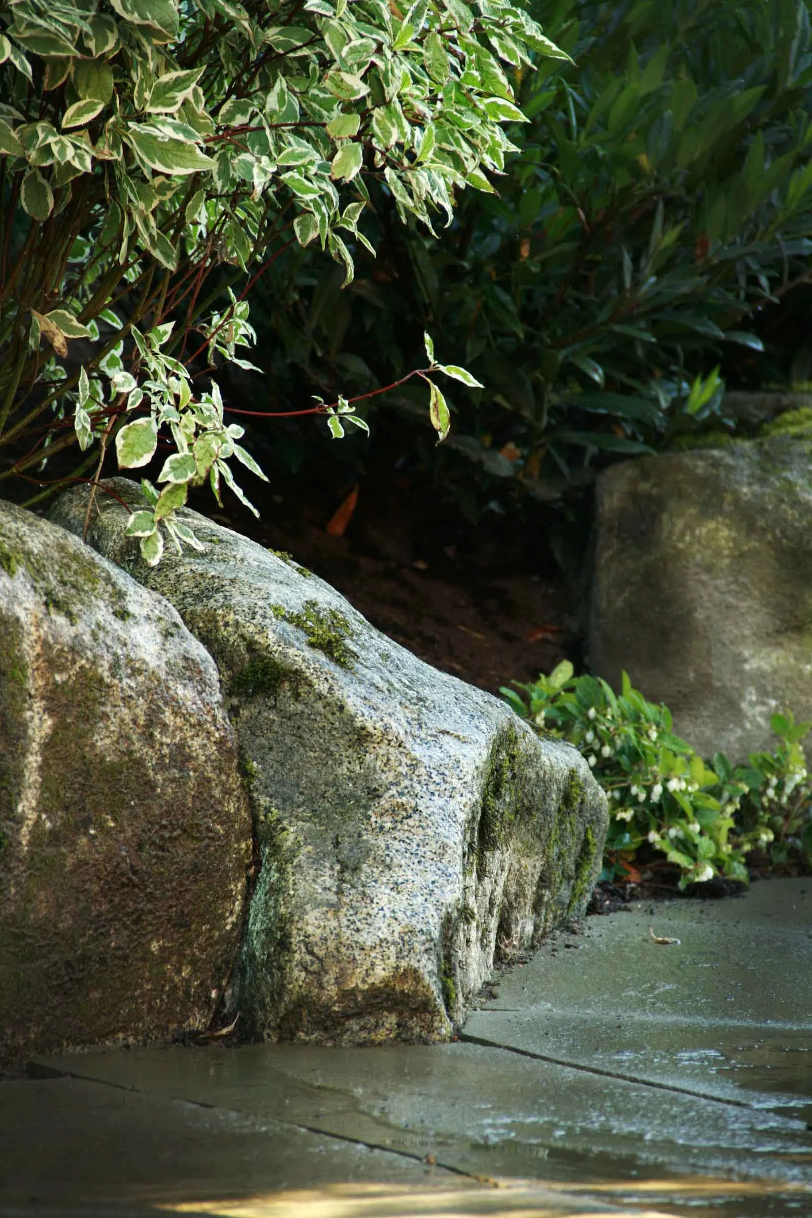 36 granite stone2.jpg