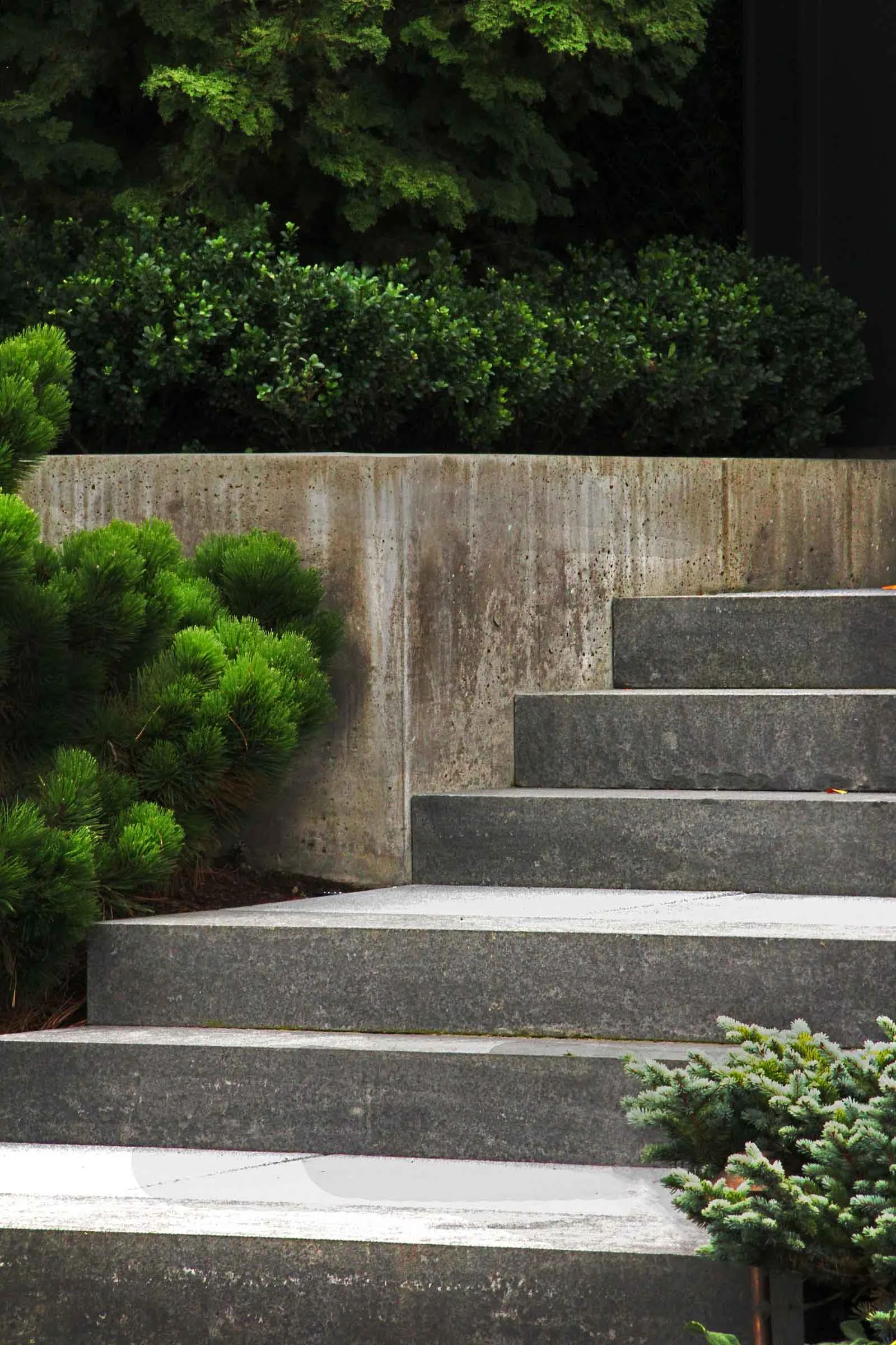 16 poore basalt steps4.jpg