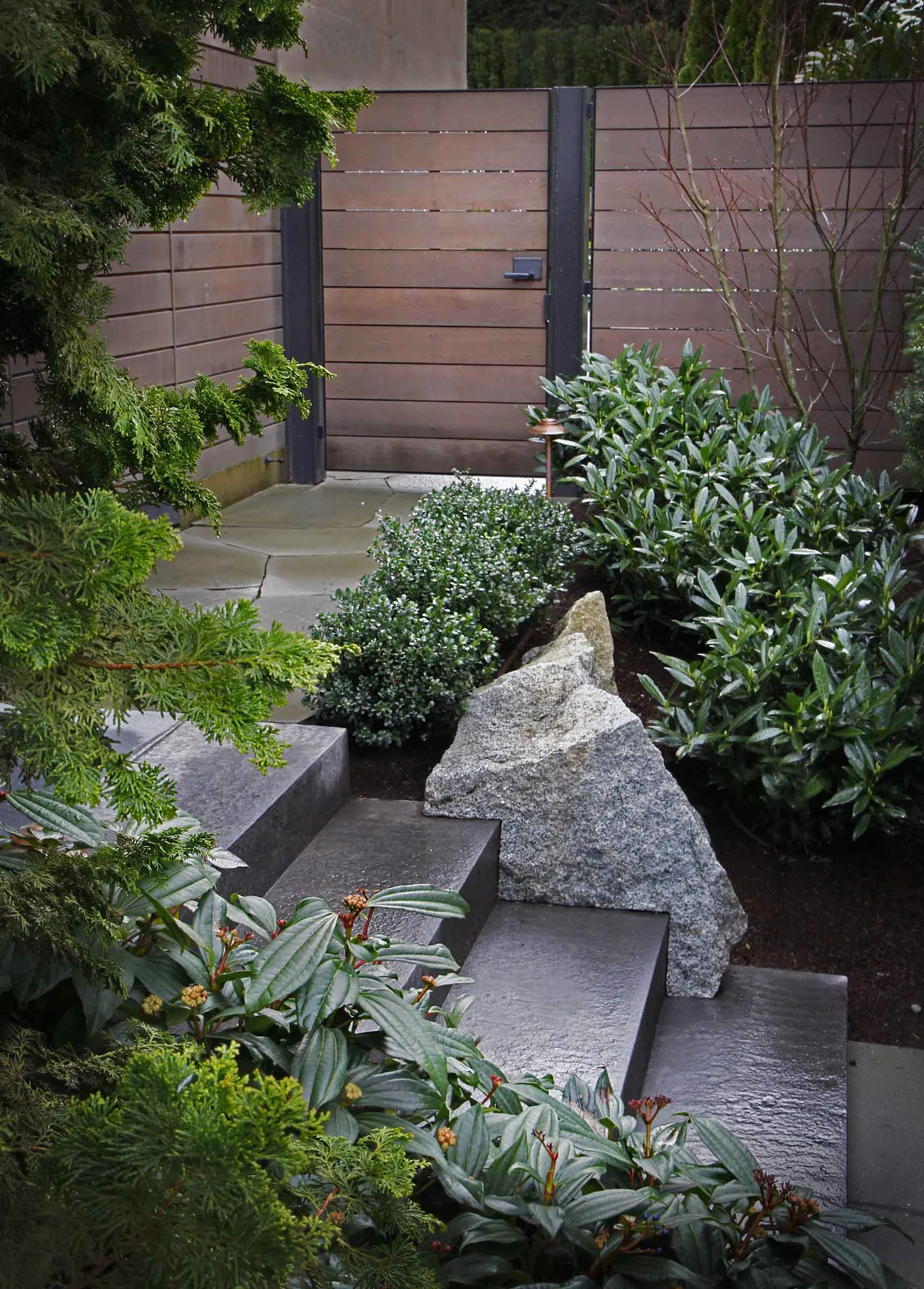 1wnw2 basalt steps10.jpg