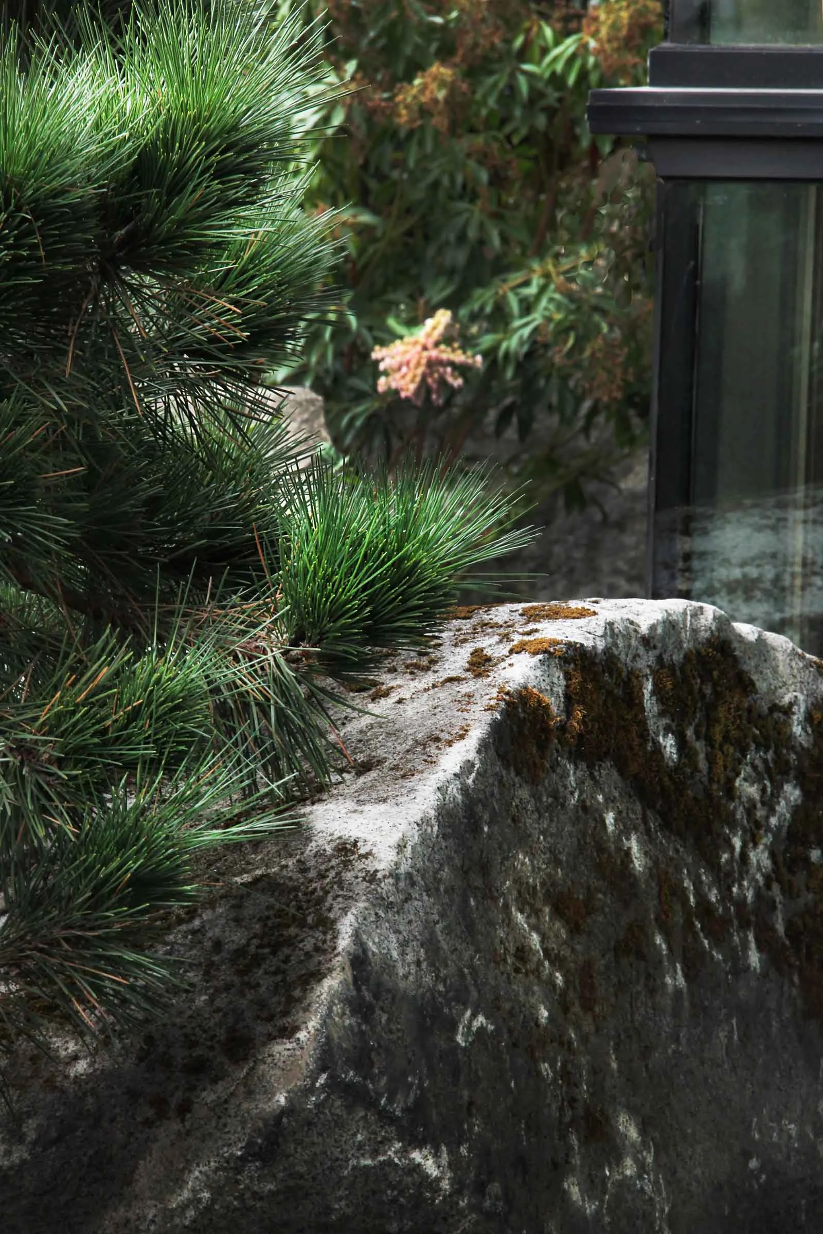 1wnw2 pine and granite stone.jpg