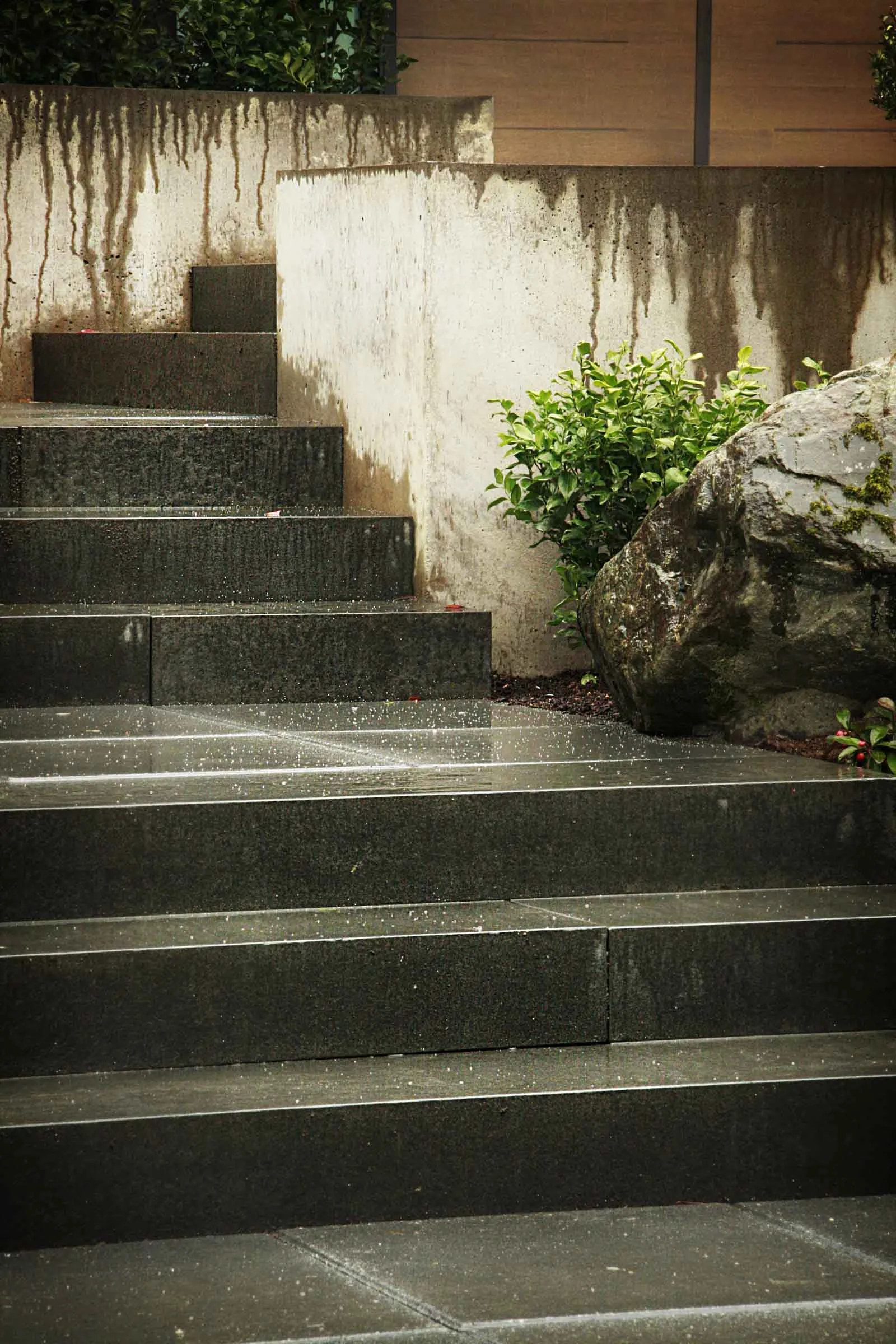 2wnw2 entry steps5.jpg