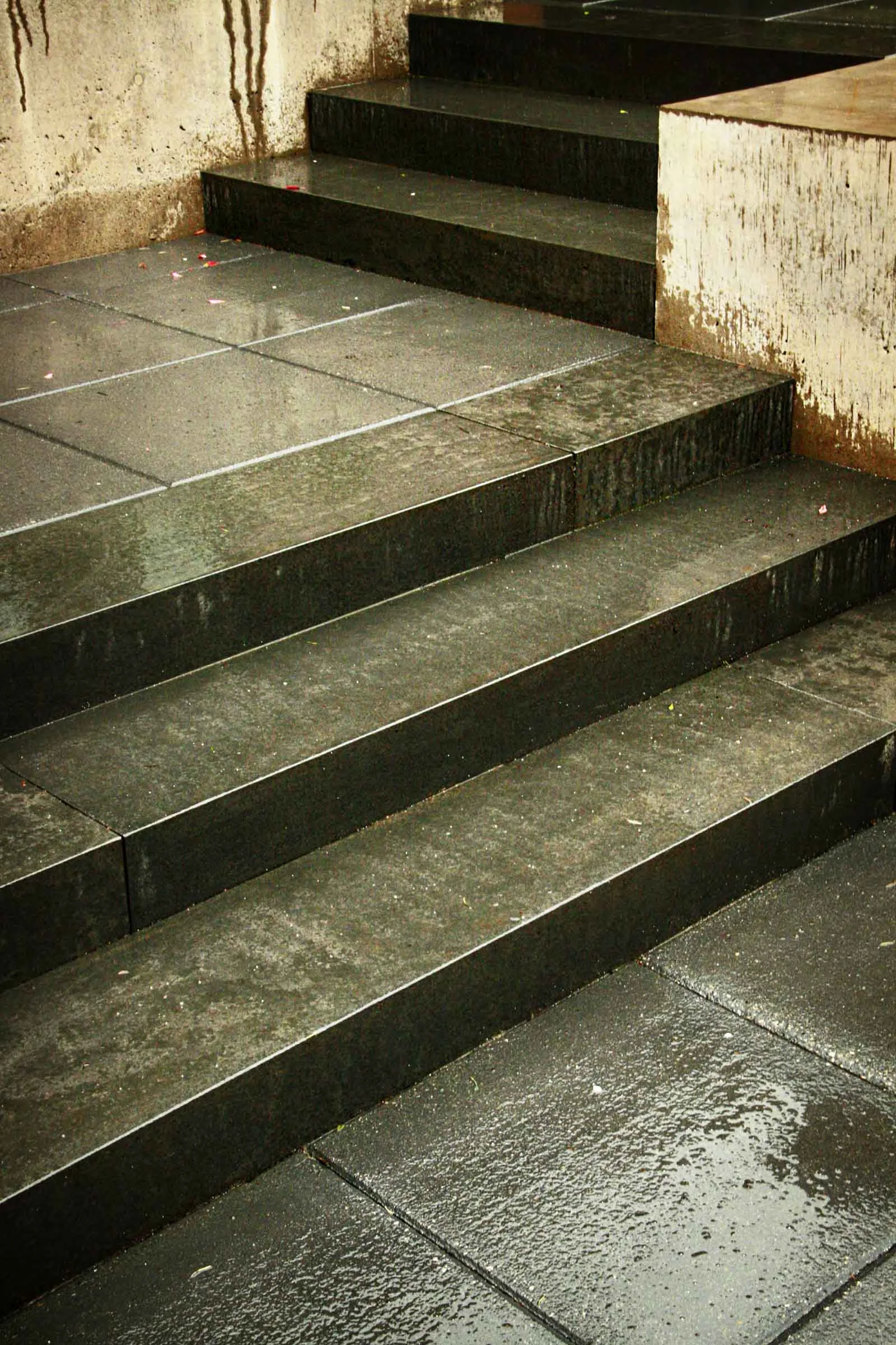 2wnw2 entry steps6.jpg