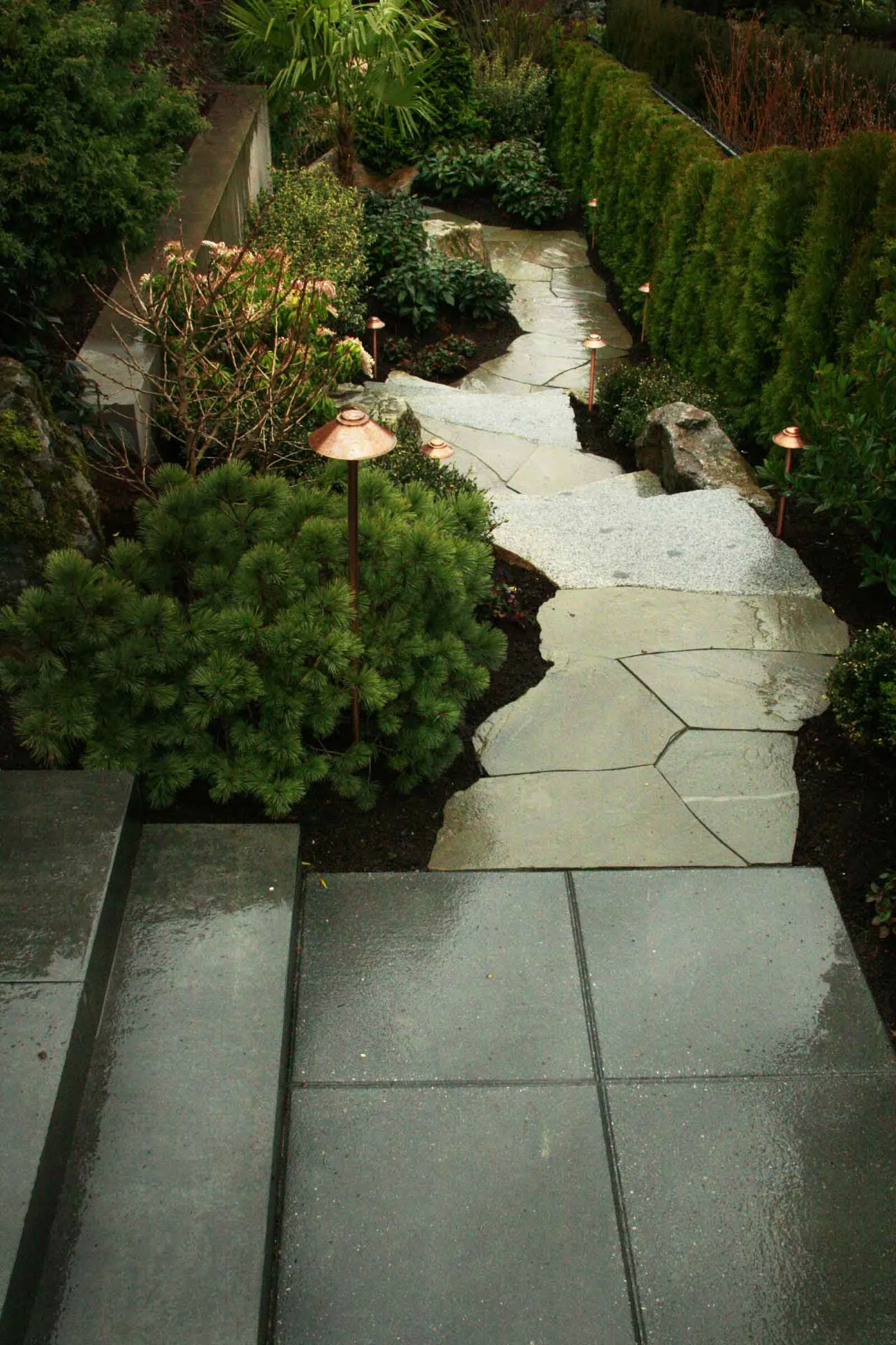 2wnw2 path.jpg