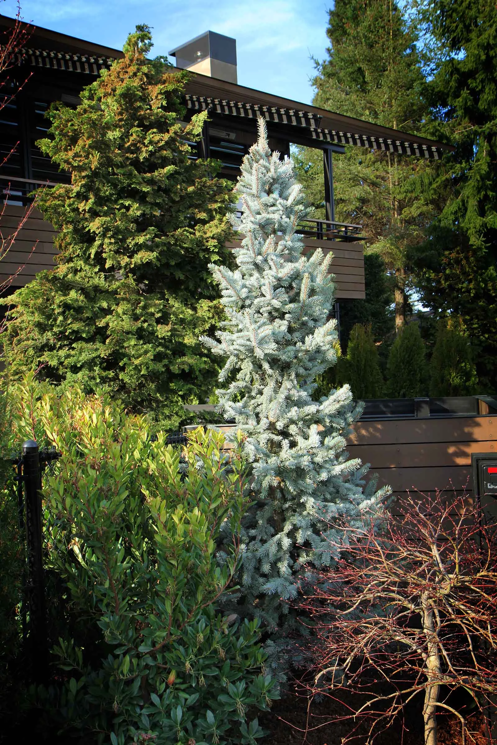 2wnw2 plantings4.jpg