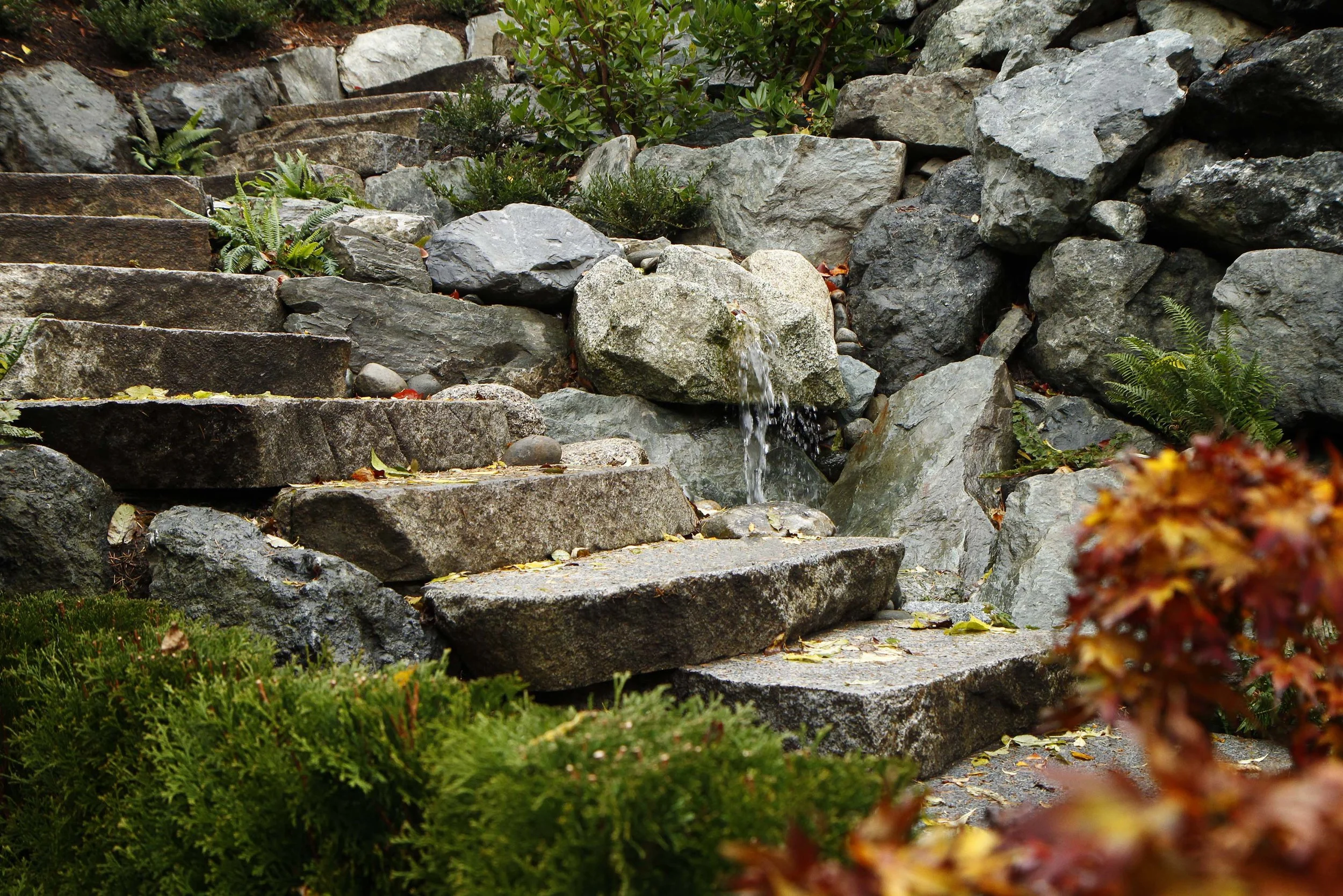 _MG_8359.jpg
