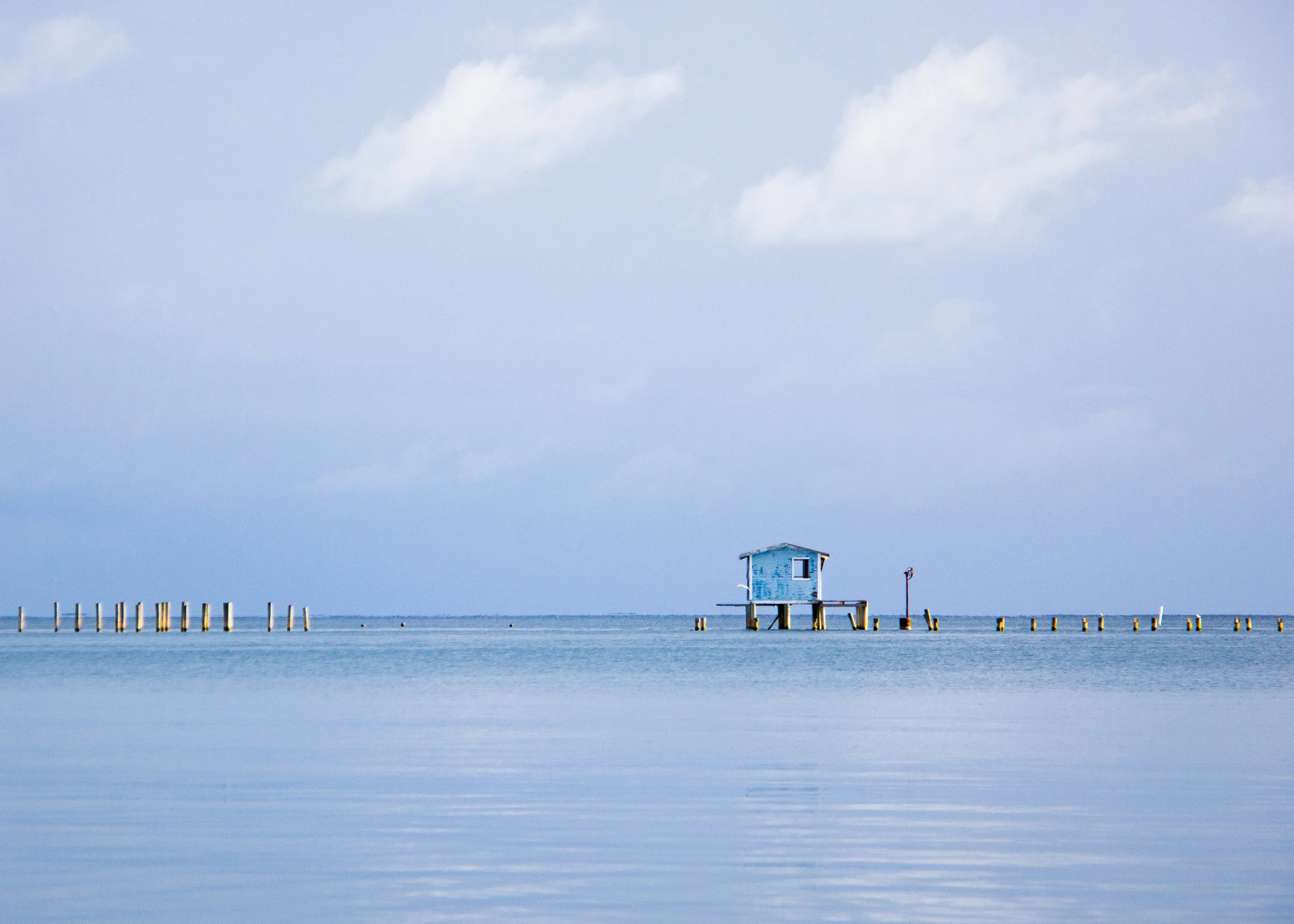Blue.