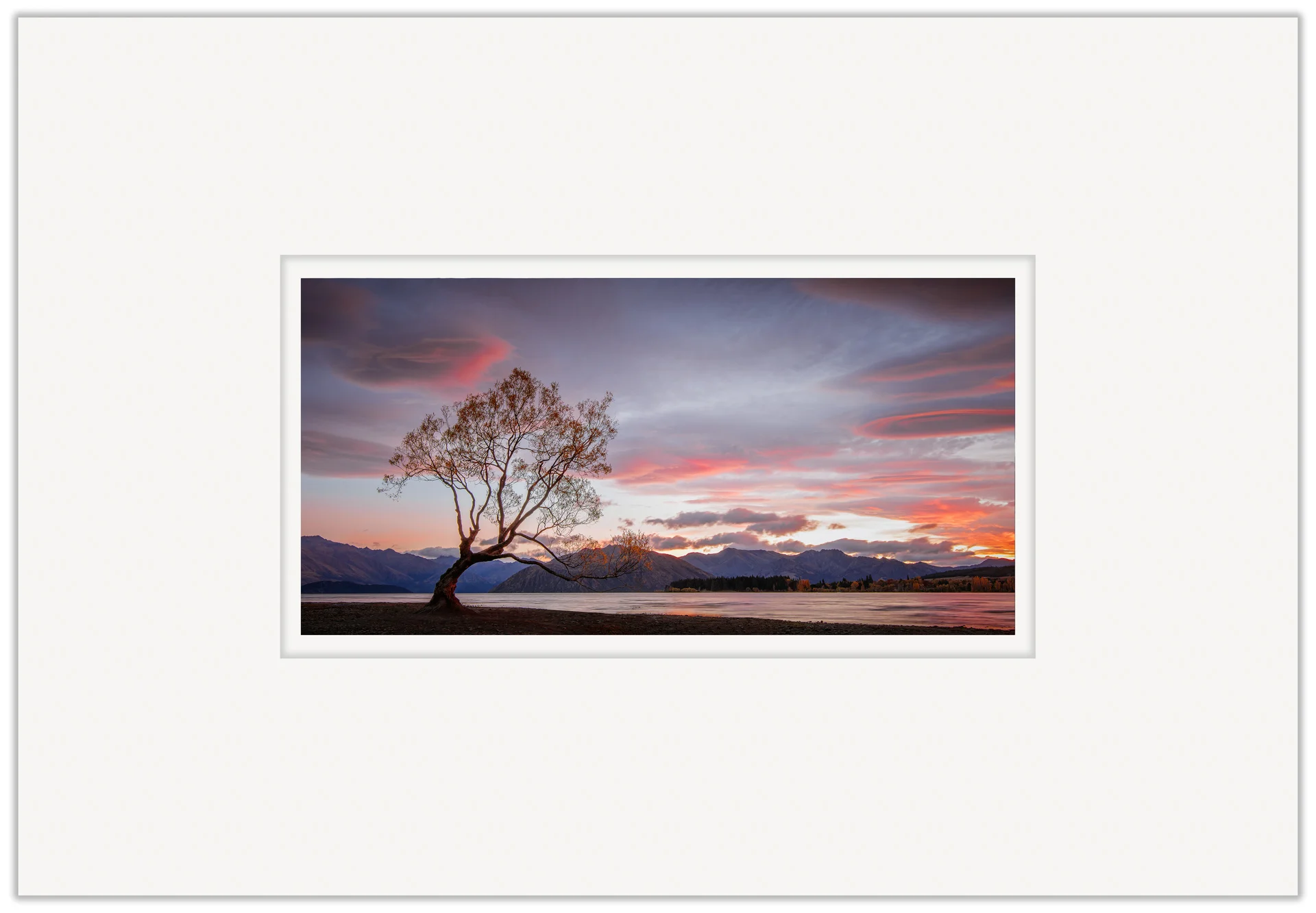 The Wanaka Tree 20cm x 40cm Photo Paper Limited Edition of 99 IDR 1,399,000