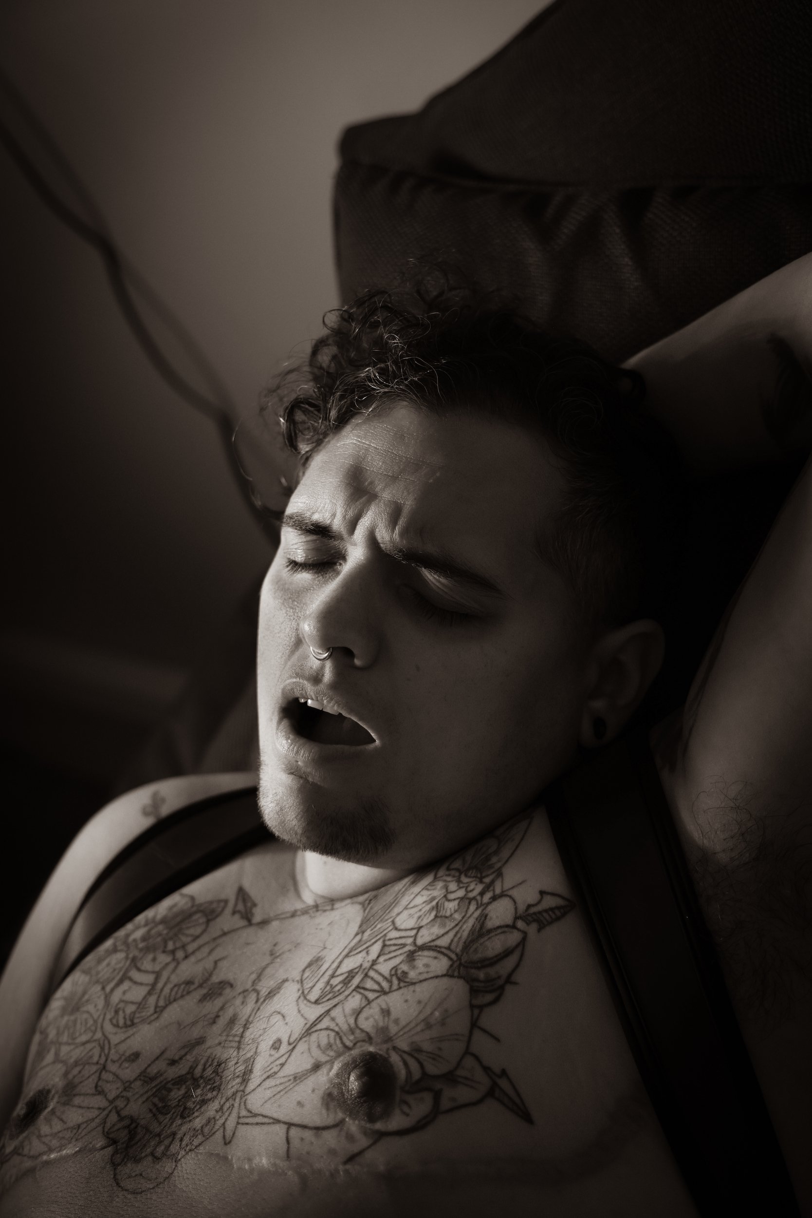 The Pleasuring.jpg
