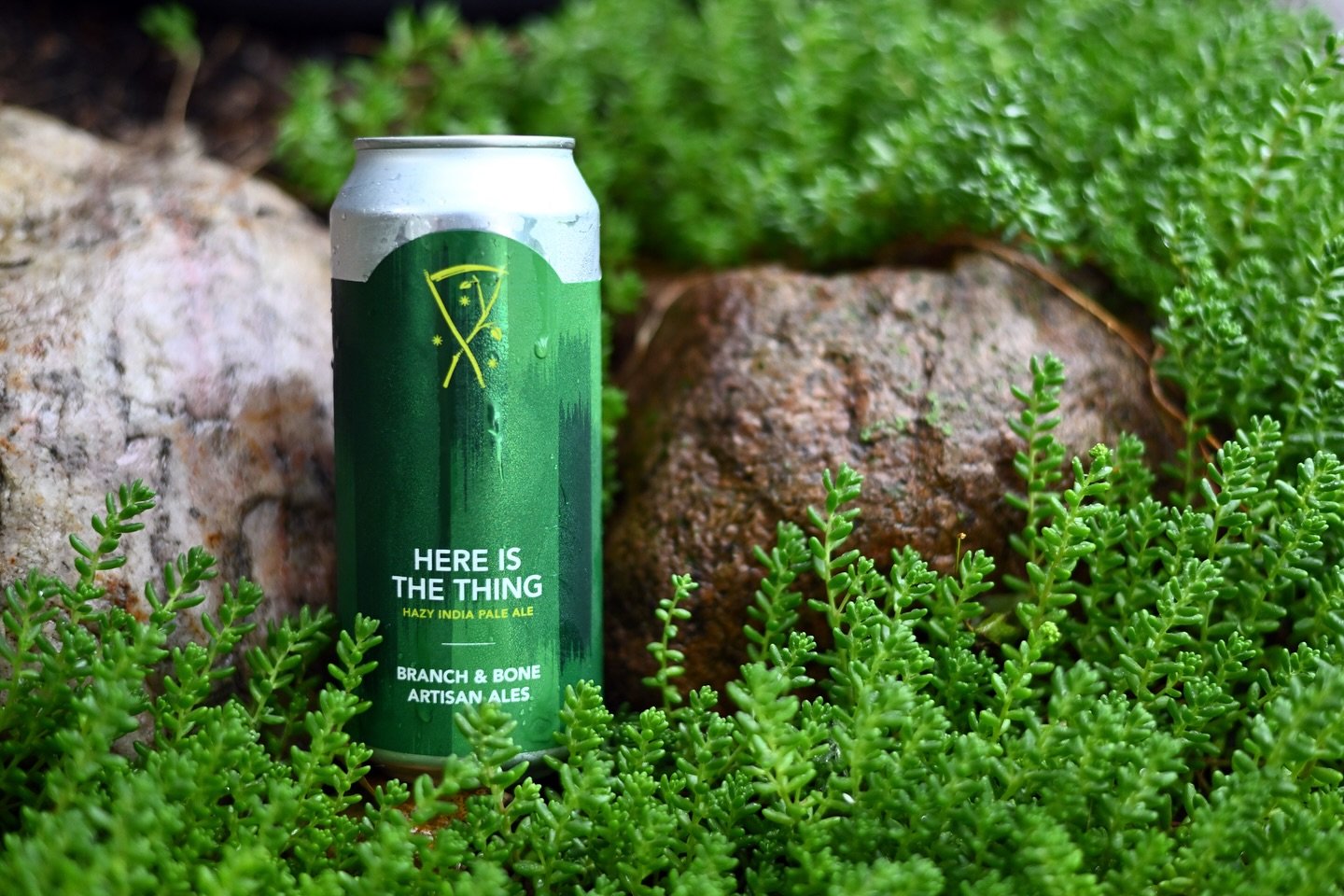 Here it is. And there&rsquo;s no time more fitting than Anniversary week!

Here Is The Thing - Hazy IPA loaded with Simcoe and El Dorado hops.  This is the first hazy IPA we ever brewed at Branch &amp; Bone and was on our opening day tap list 7 years