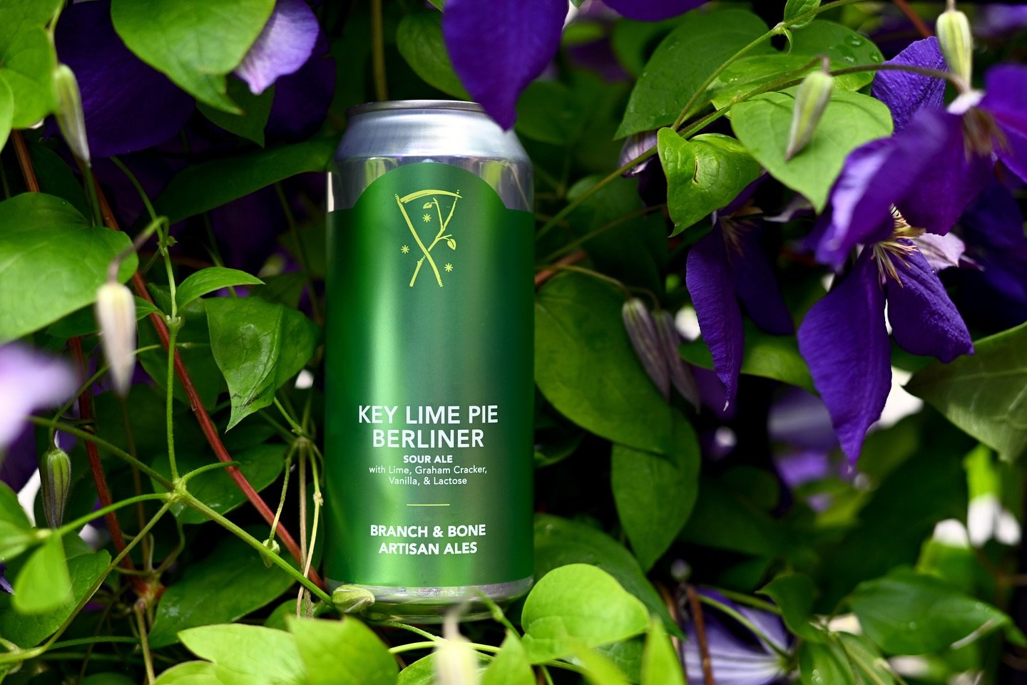 Here at Branch &amp; Bone, we think one of the best ways to beat the heat of Summer is with Sour Beer!  Now on draft and in 4 packs to go is one of our Summertime favorites, Key Lime Pie Berliner. 

Be it a pool party, at a backyard BBQ, or during yo