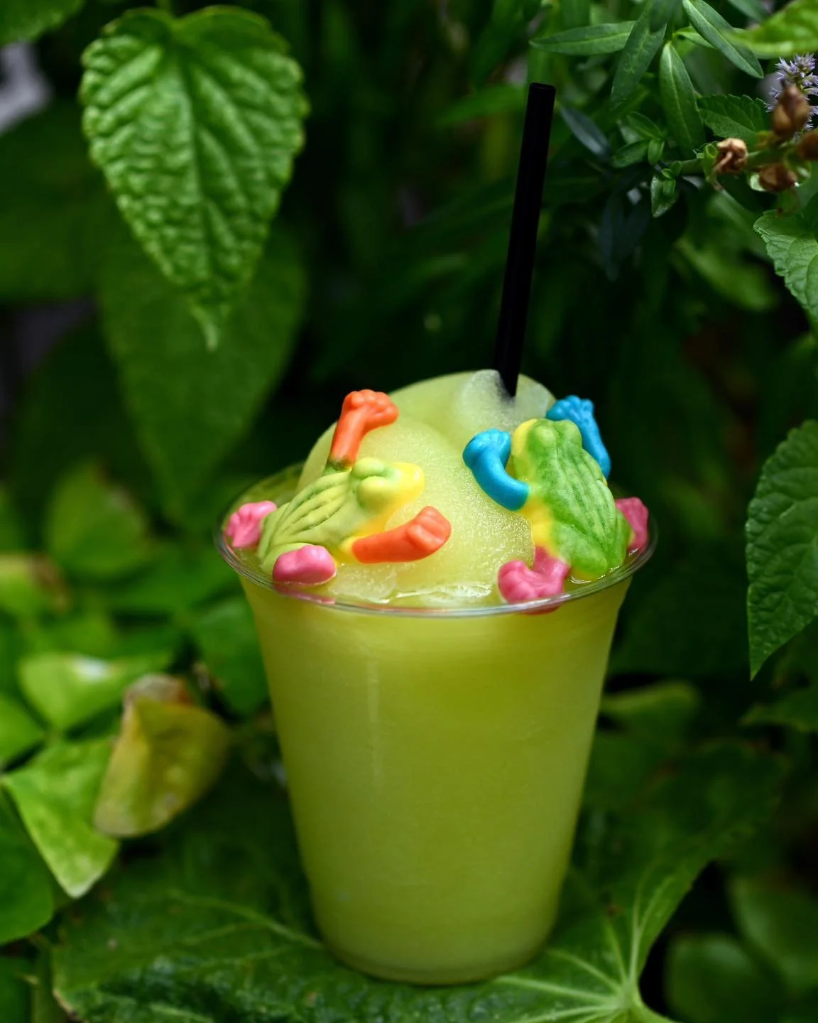 This week&rsquo;s slushee is here to steal the show 💚🐸 Lily Pad Punch &mdash; a bright green blend of strawberry, kiwi &amp; pineapple with a creamy twist. Fun, fruity, and available all weekend long!
*Contains lactose
#slushee #craftbeer #craftbee